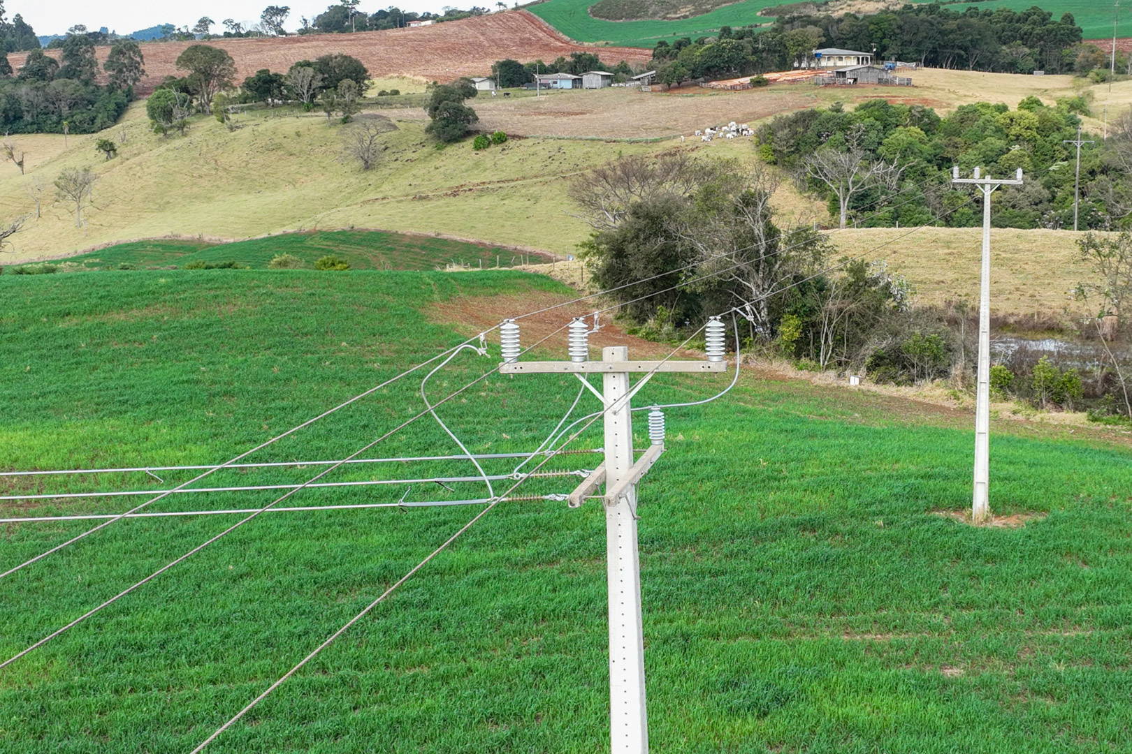 Copel - Bateria móvel da Copel começa a operar em Palmital e reforça infraestrutura energética regional