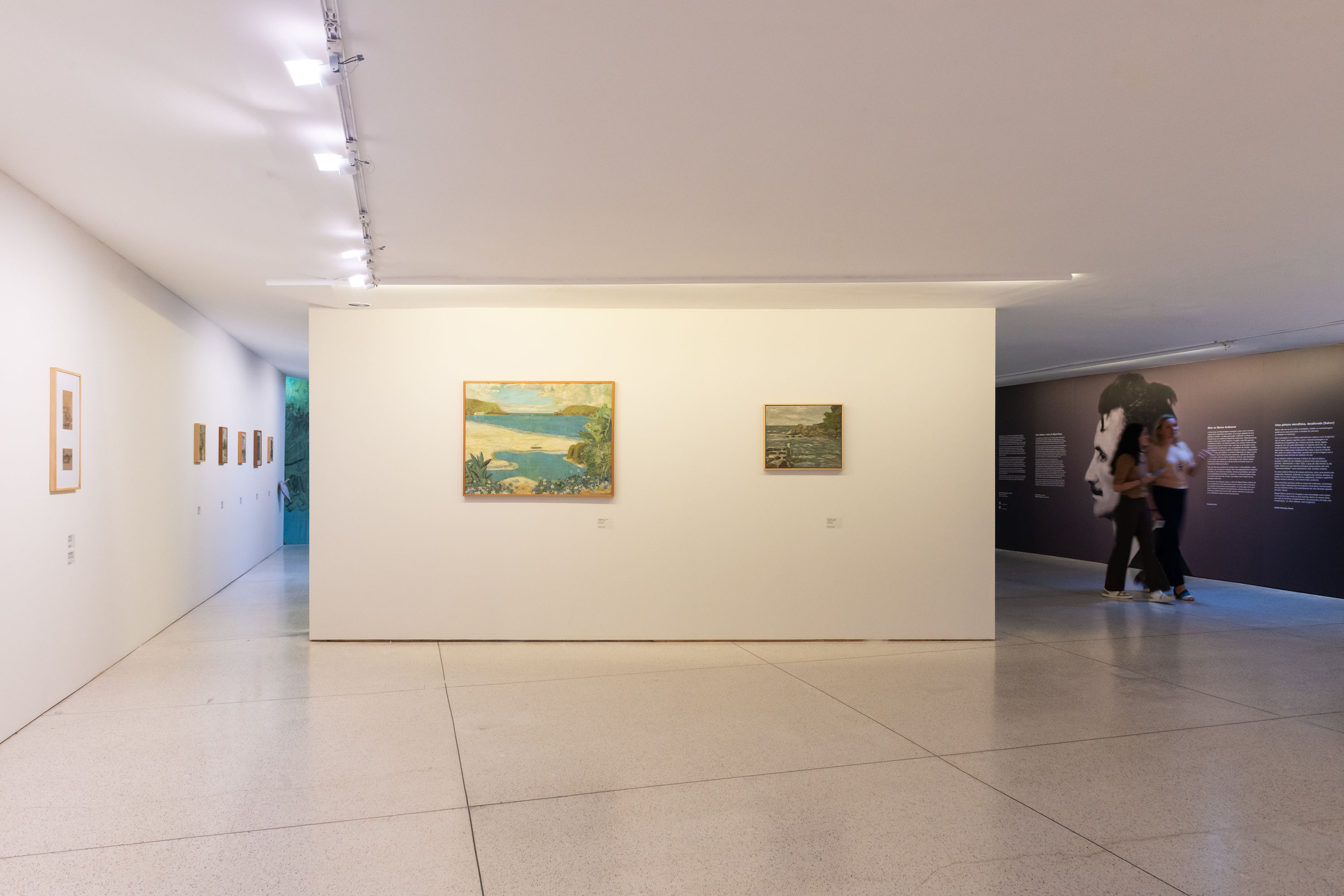 Última semana da exposição “Miguel Bakun: O Olhar de uma Coleção” no MON