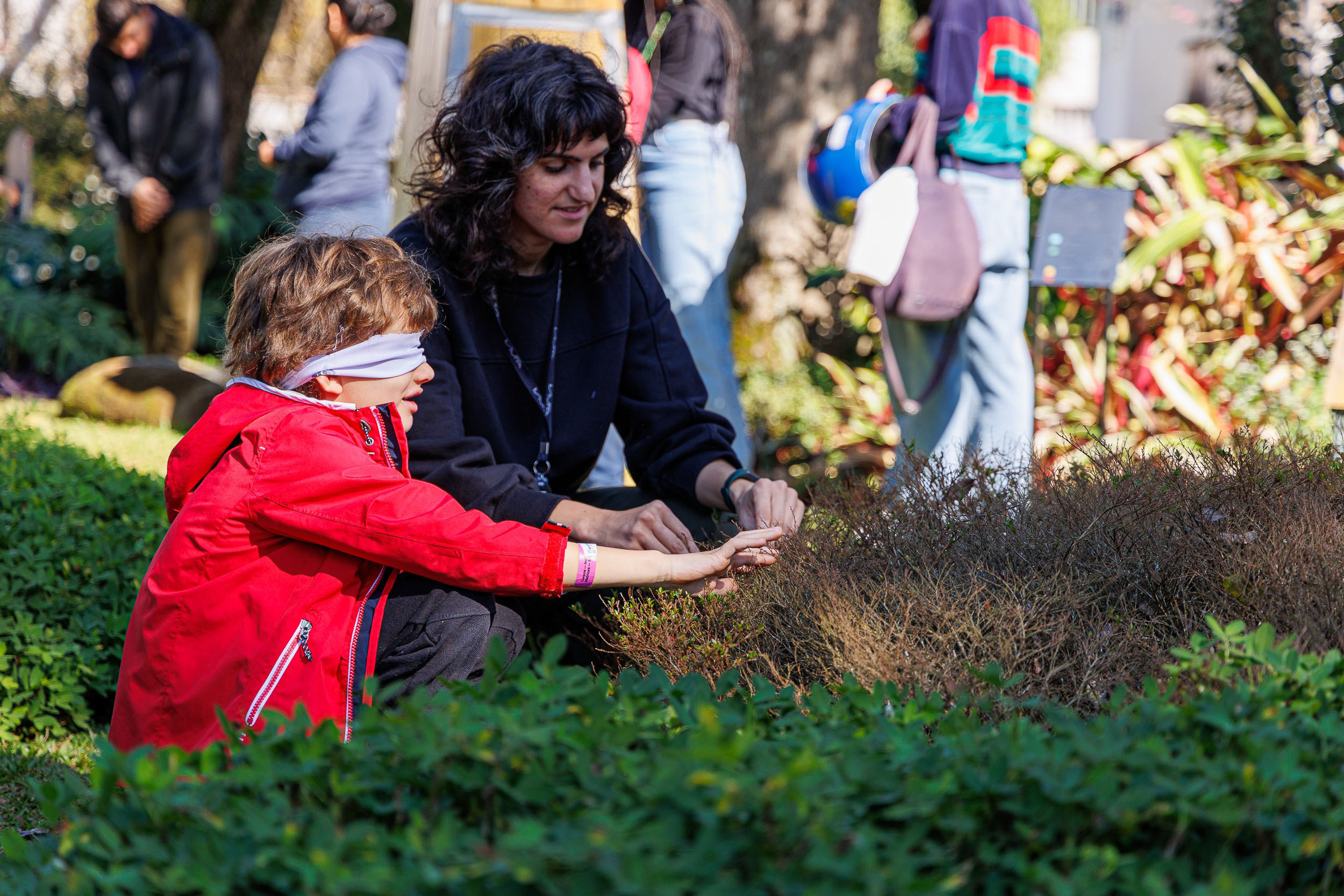 Entre arte e natureza: MUPA oferece diversas atividades na 19° Primavera dos  Museus