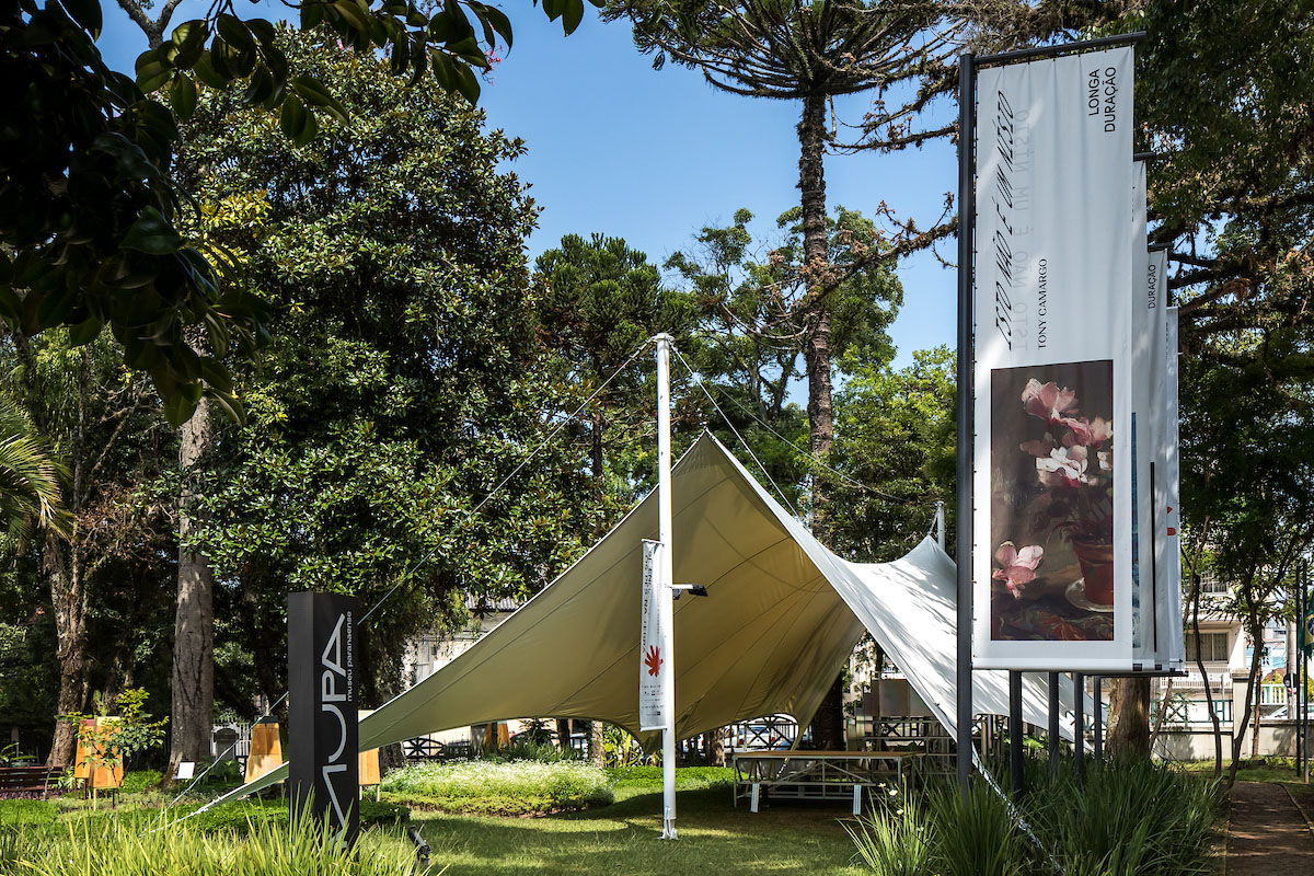 Entre arte e natureza: MUPA oferece diversas atividades na 19° Primavera dos  Museus