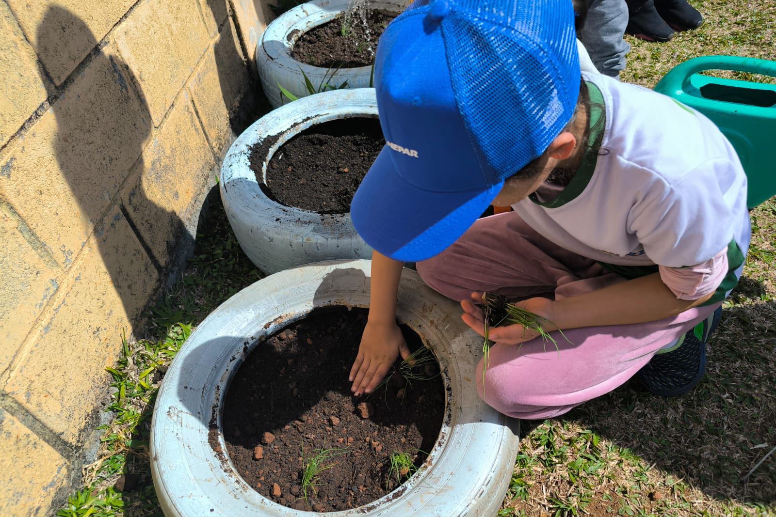 Sanepar ensina a cultivar hortas comunitárias