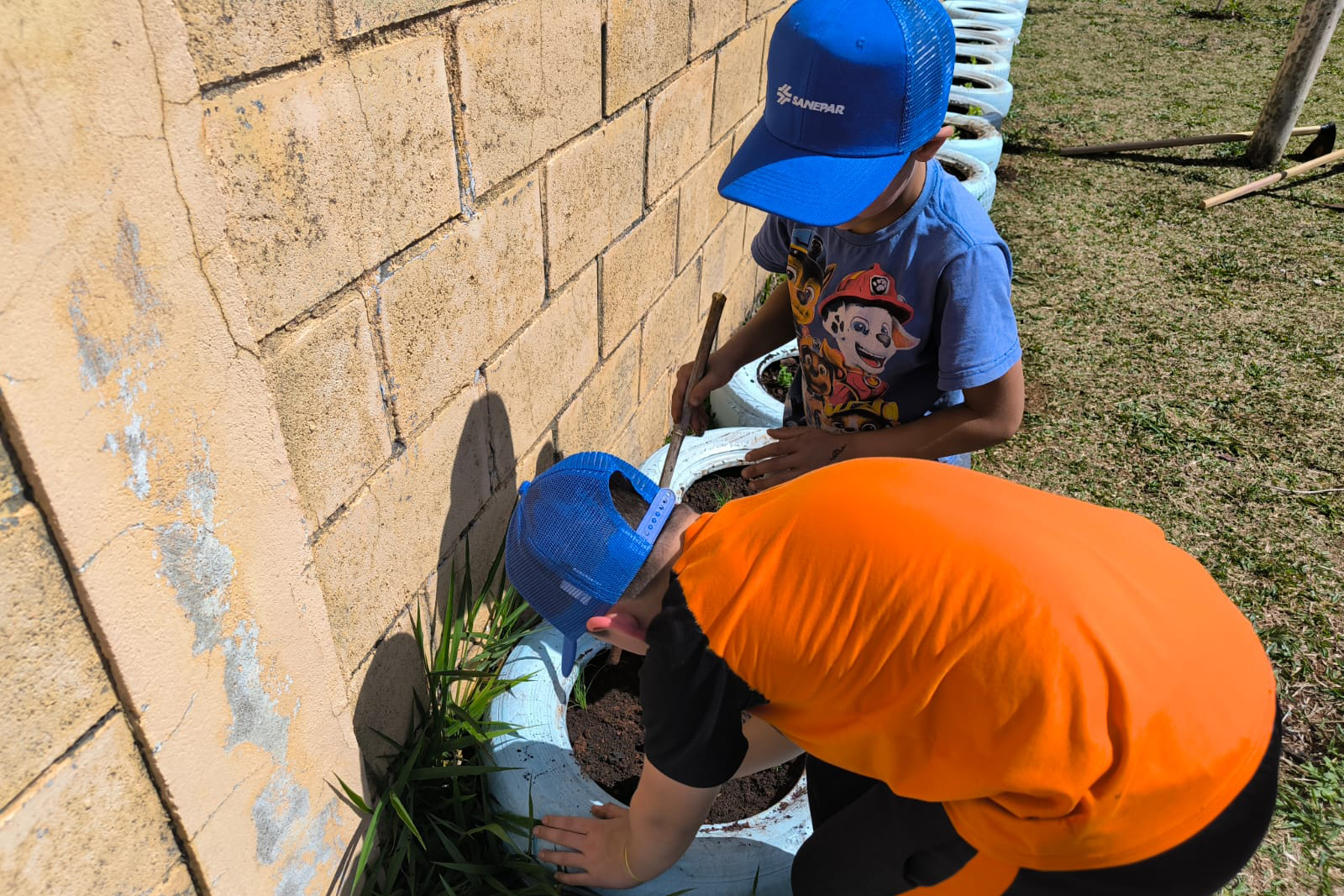 Sanepar ensina a cultivar hortas comunitárias
