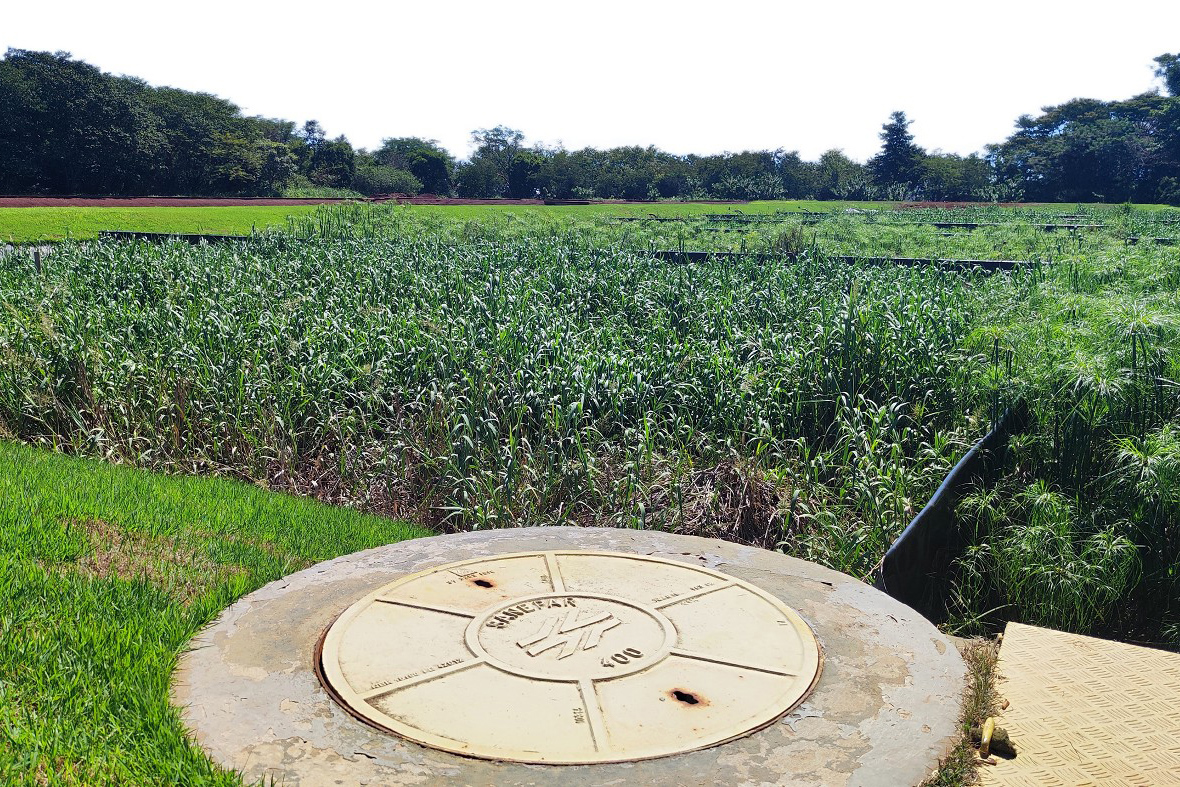 Sanepar celebra o Dia Nacional da Inovação com estratégia que coloca a tecnologia a serviço da sociedade