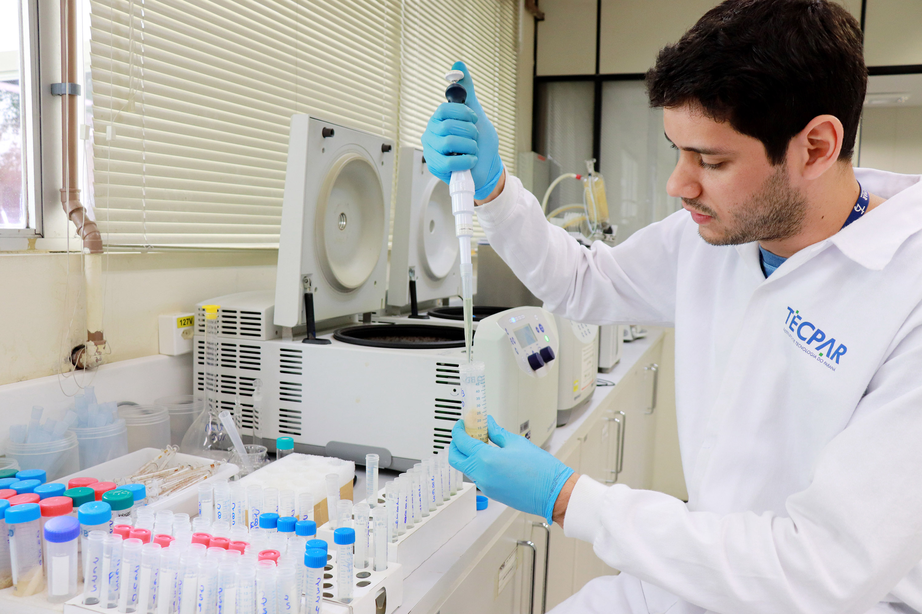 Alimentação escolar: controle rigoroso garante cardápios nutritivos e saudáveis nas escolas do Paraná