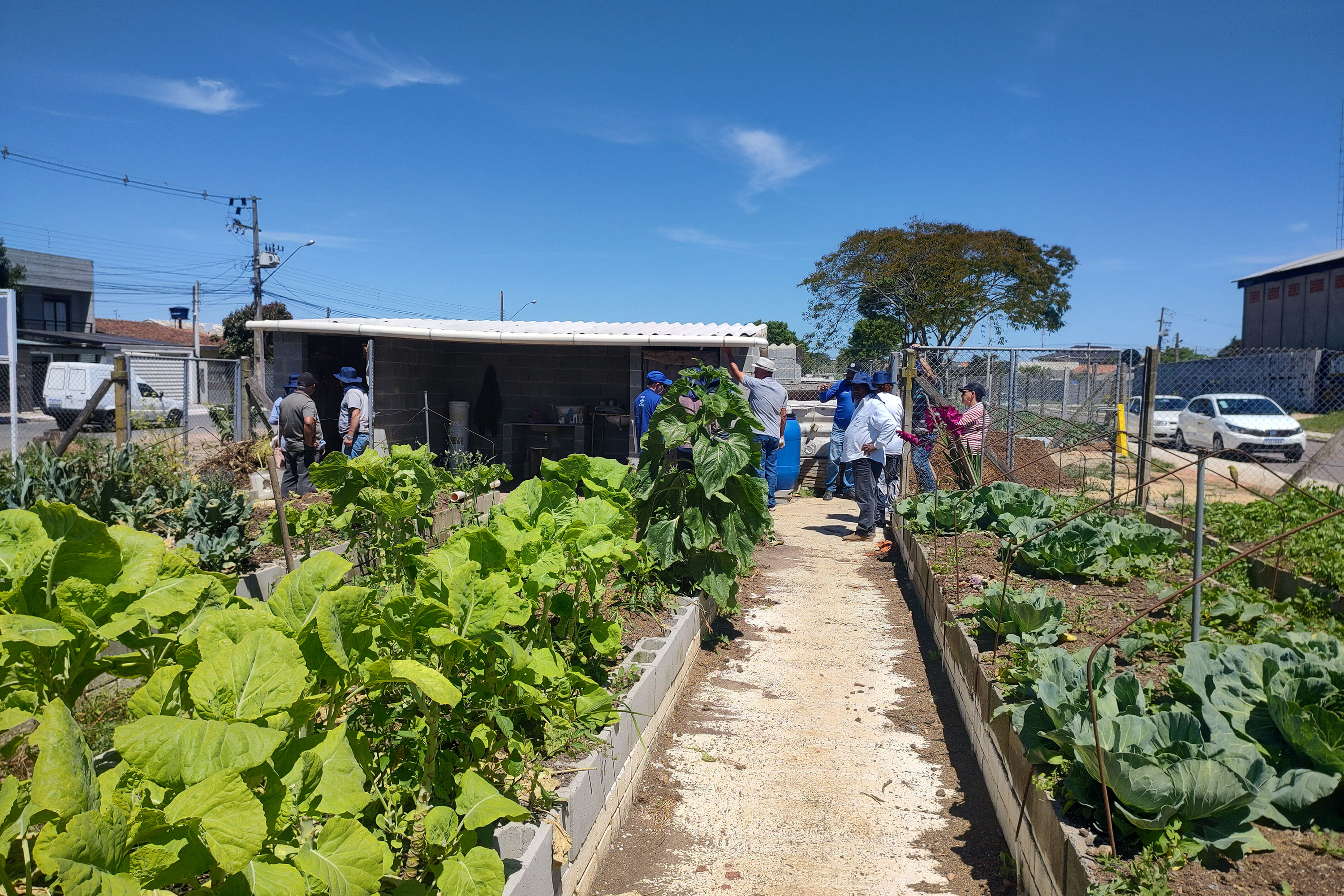 Sanepar realiza oficinas socioambientais na terceira maior horta comunitária do Brasil