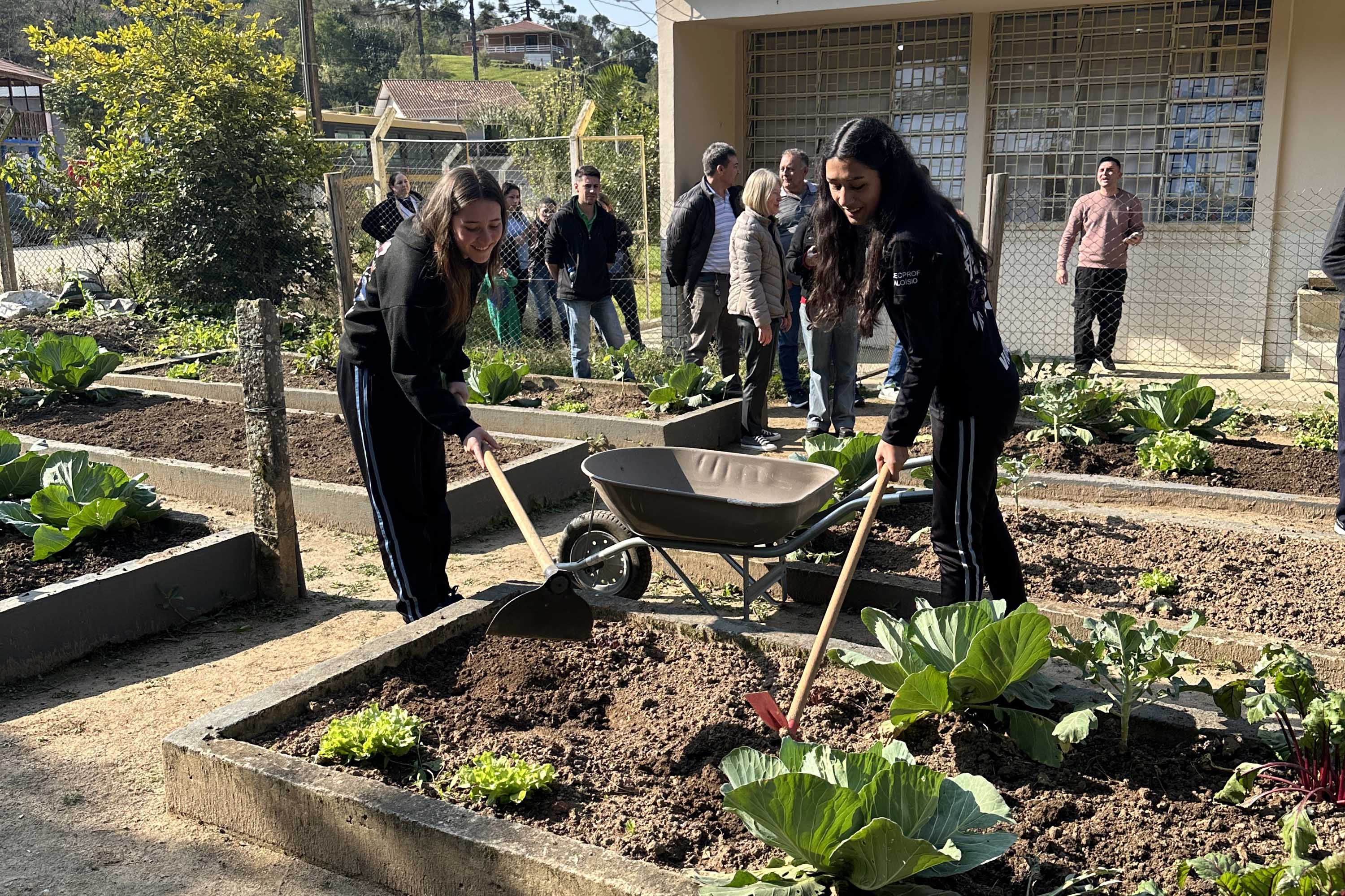 Hortas nutrem novos saberes e escolhas saudáveis nas escolas da rede pública do Paraná