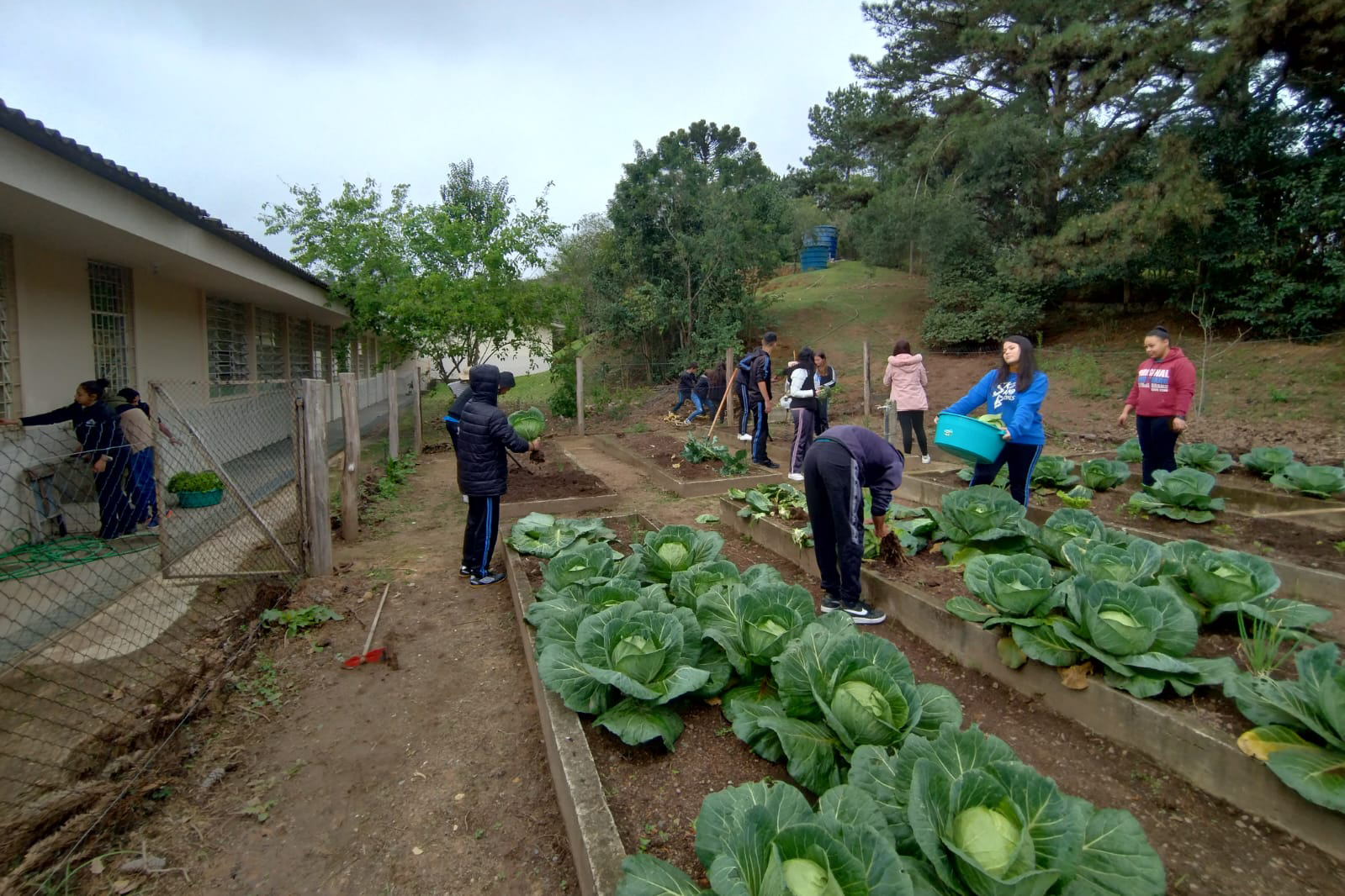 Hortas nutrem novos saberes e escolhas saudáveis nas escolas da rede pública do Paraná
