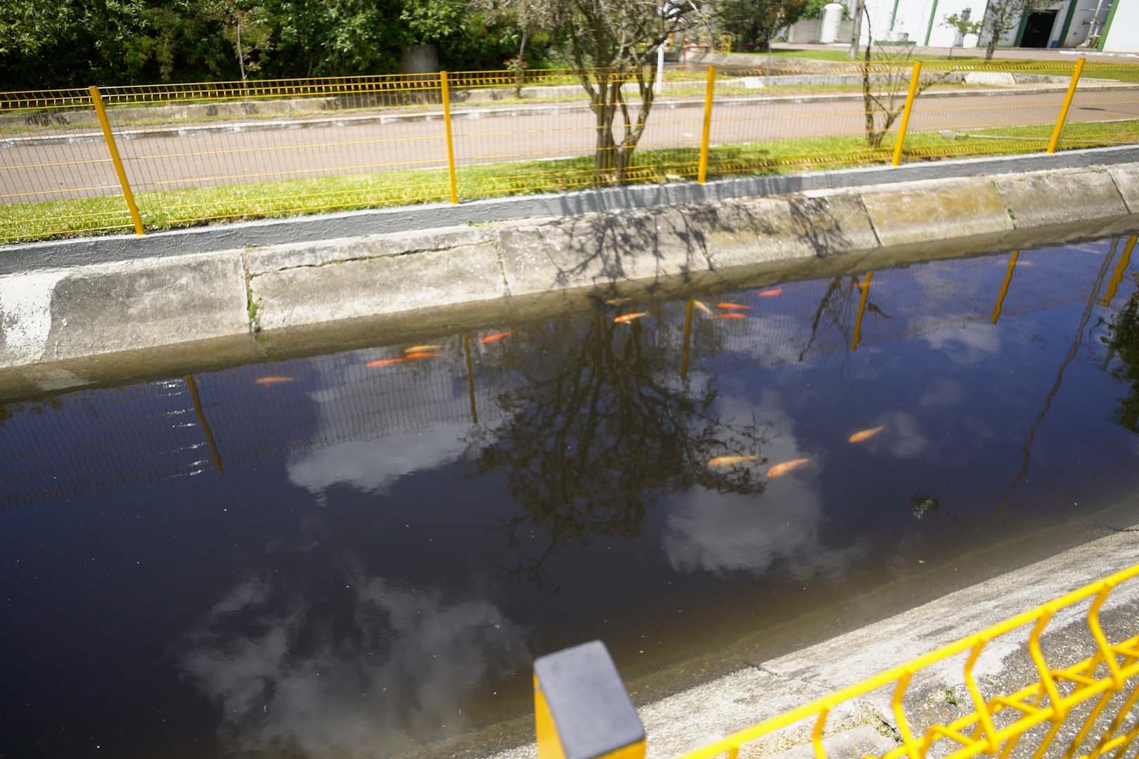 Maior ETE do Paraná devolve água mais limpa e melhora a saúde do Rio Iguaçu
