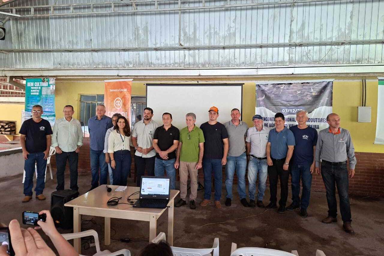 Com ações do IDR-Paraná, produção de búfalos deve ter salto de 50% na renda dos criadores