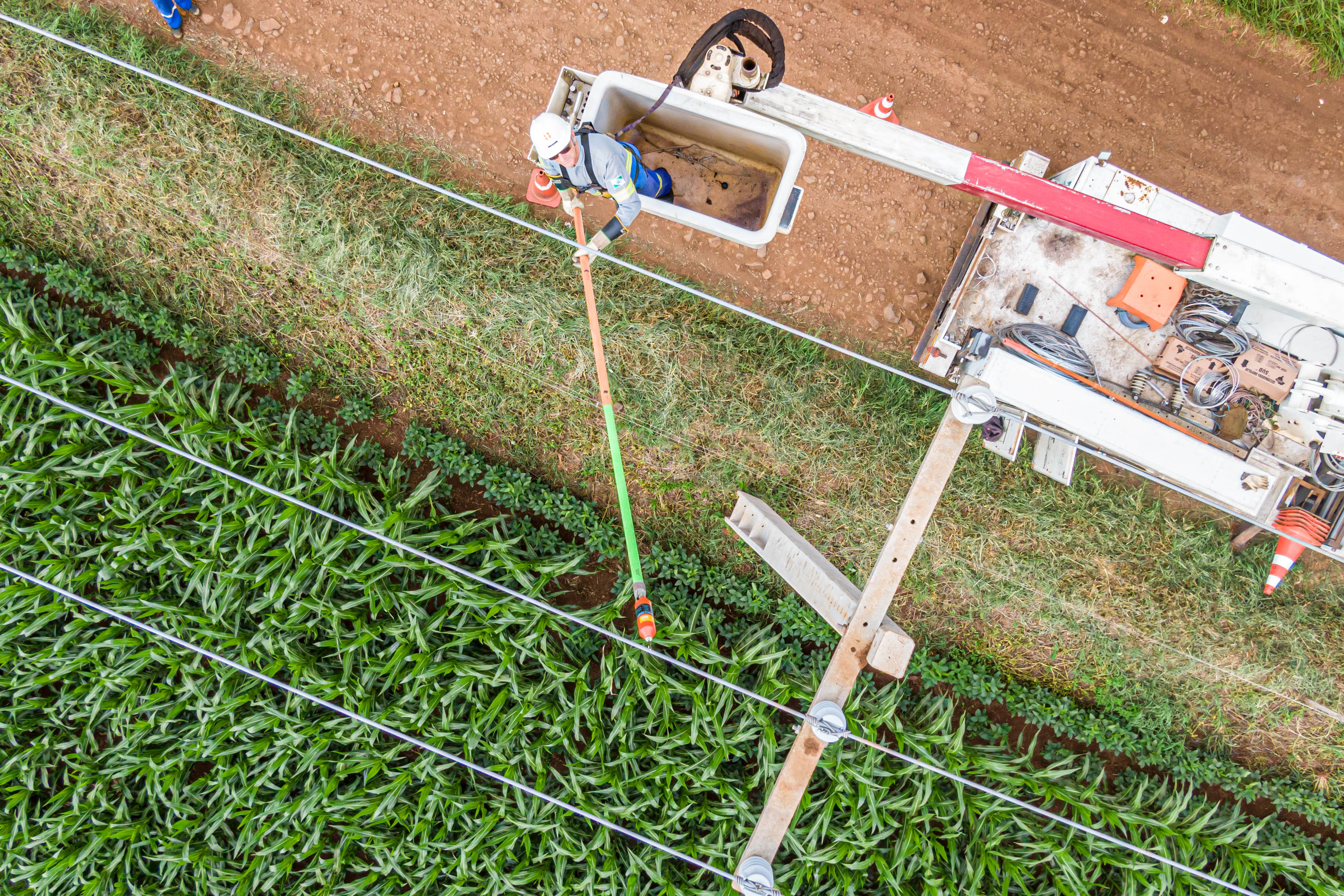 Com 25 mil km de novas redes rurais, Paraná Trifásico fortalece a agroindústria com energia mais potente e estável