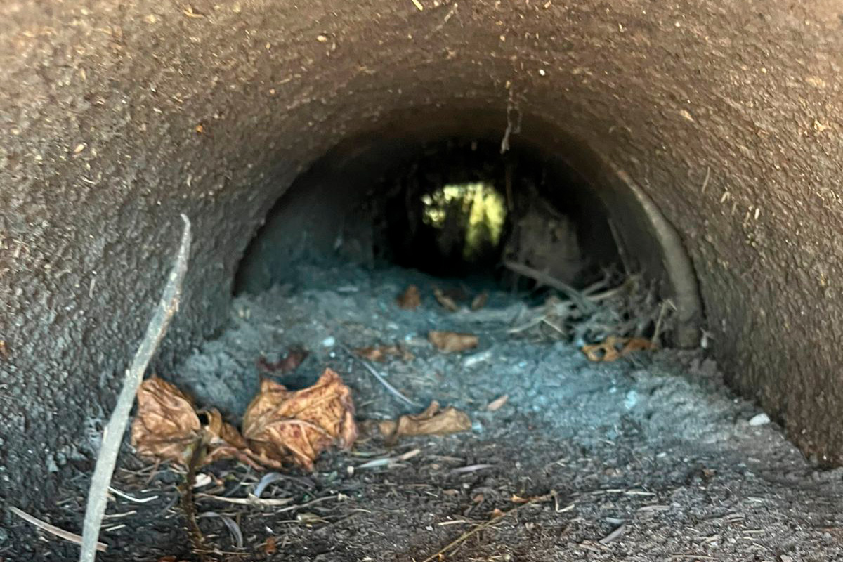 Sanepar investe R$ 1,4 milhão na limpeza de galerias de água de chuva para proteger as praias