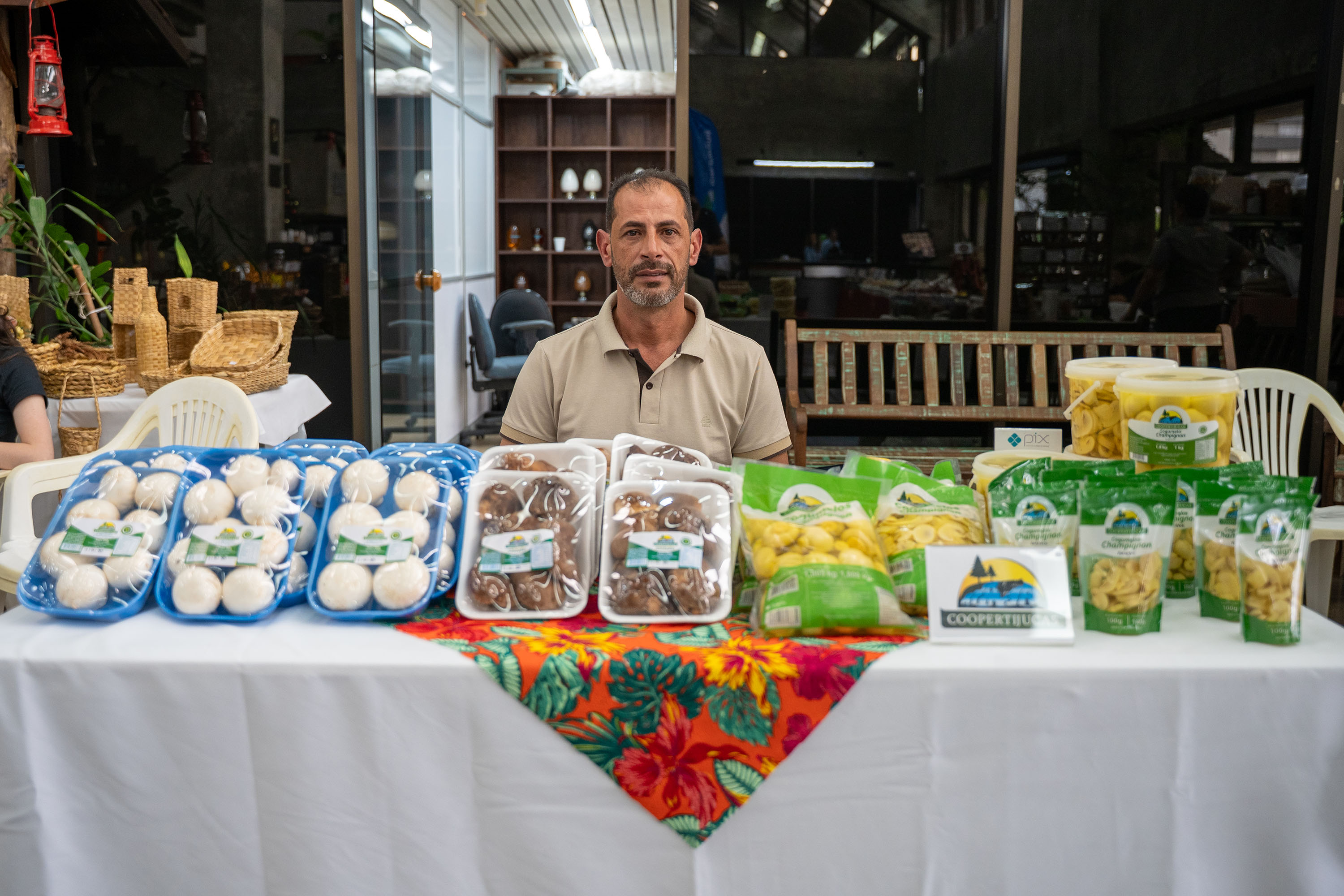 PRODUÇÃO COGUMELOS