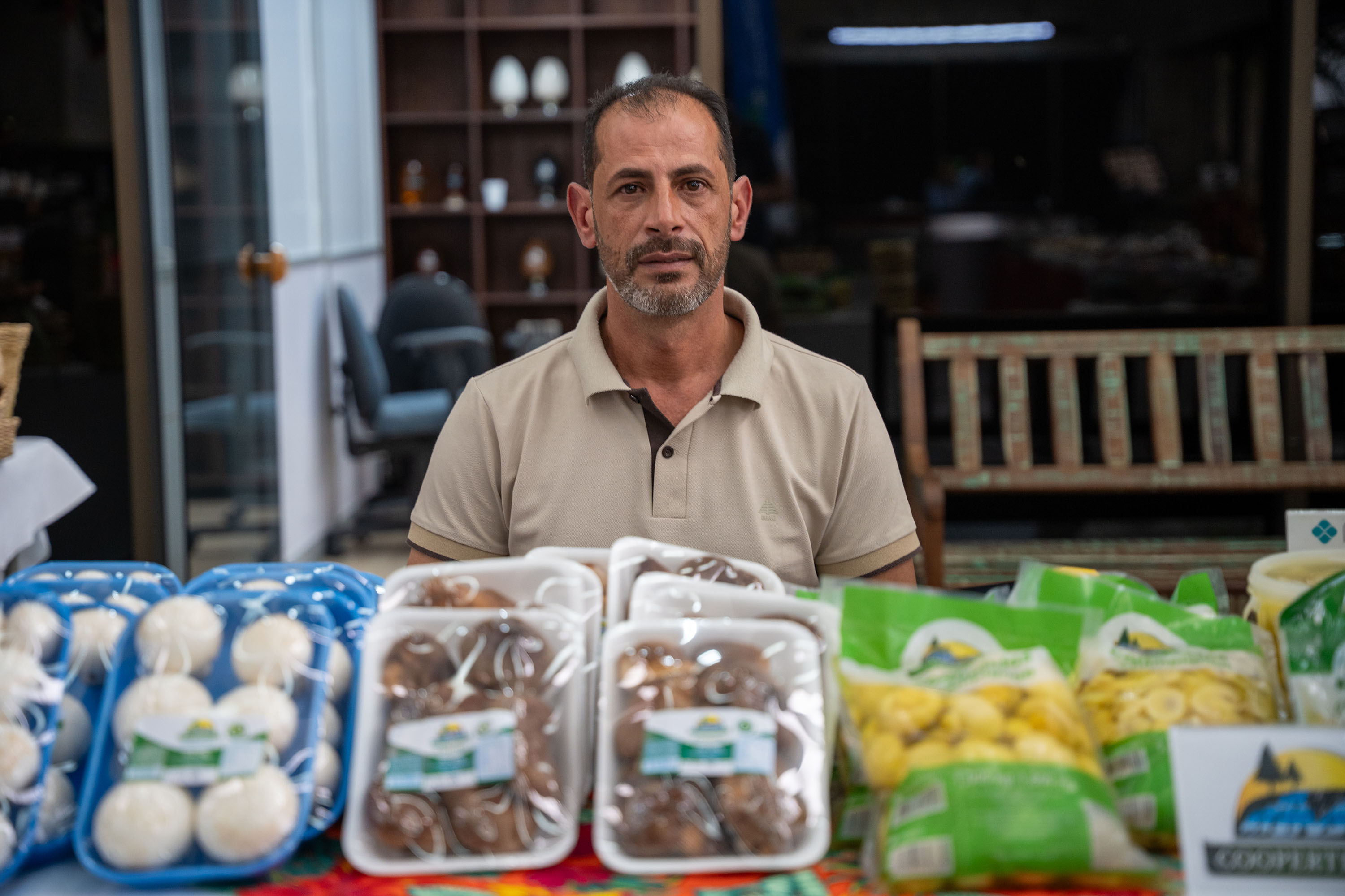 PRODUÇÃO COGUMELOS