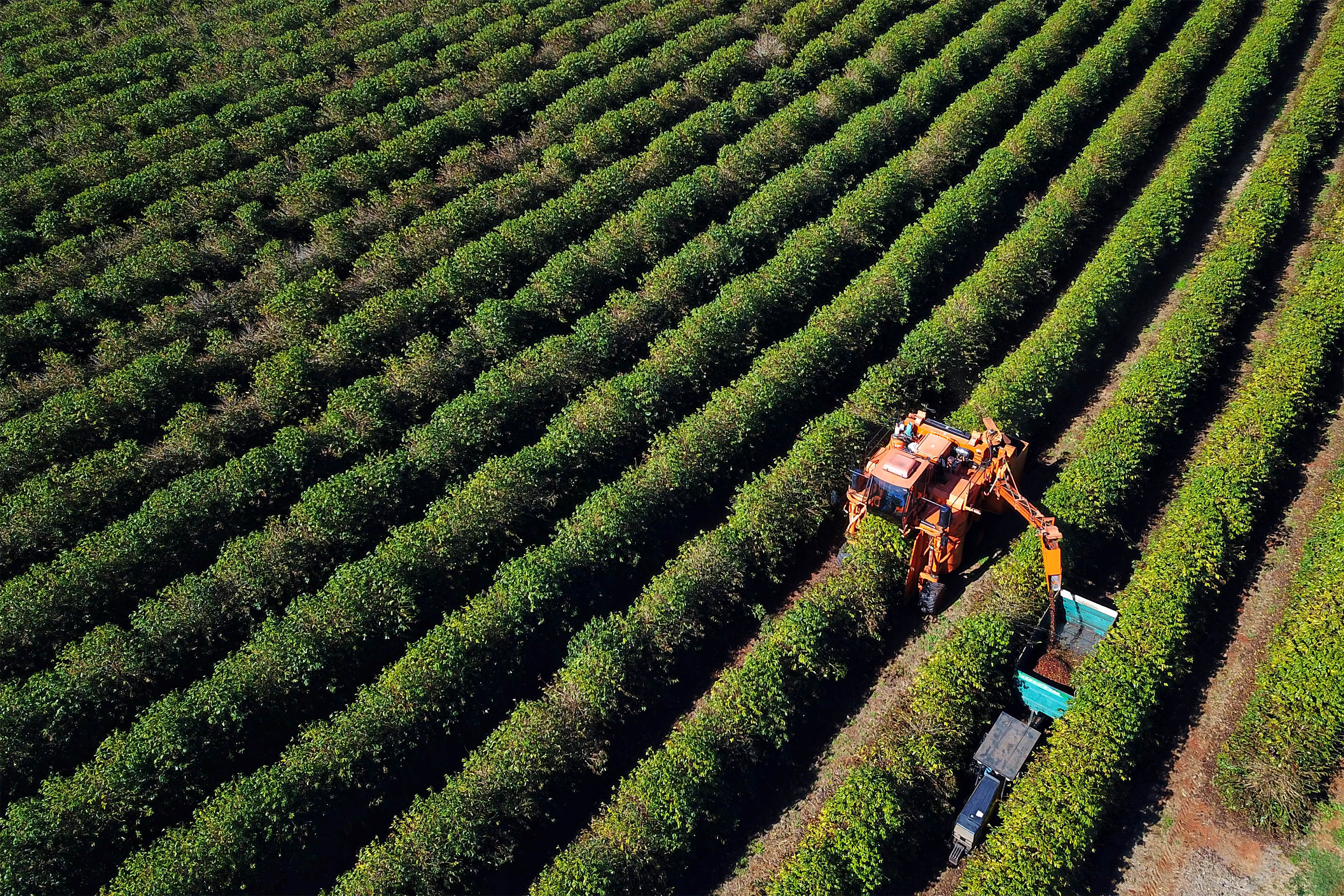 Agro soma R$ 1,26 bilhão em contratações do BRDE no Paraná e banco prepara programação especial para Show Rural 2026
