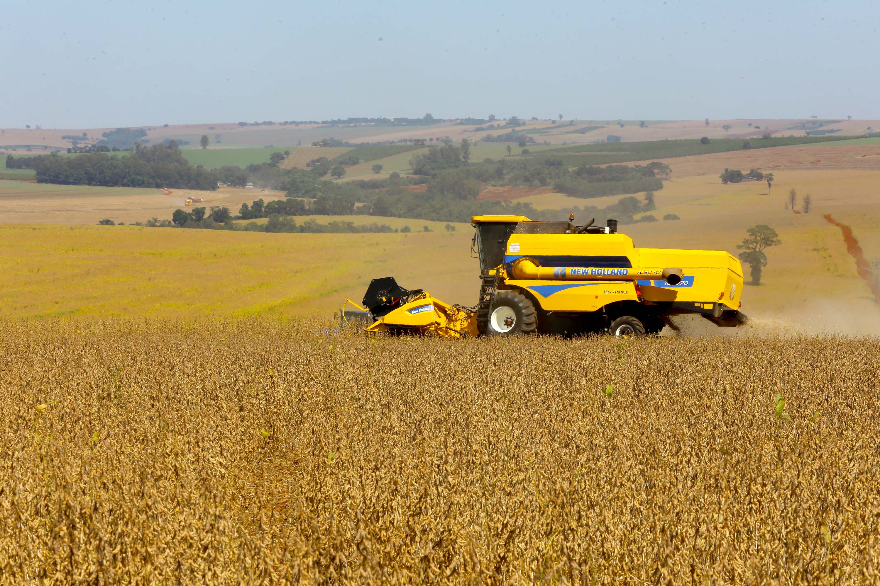 SEAB - Safra ganha volume e consolida cenário positivo no campo paranaense