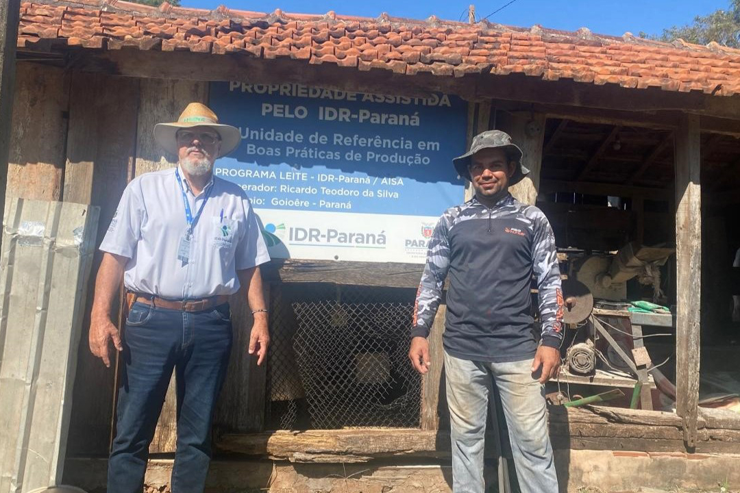 SEAB - Programa no Paraná fortalece pecuária leiteira e aumenta rentabilidade dos produtores