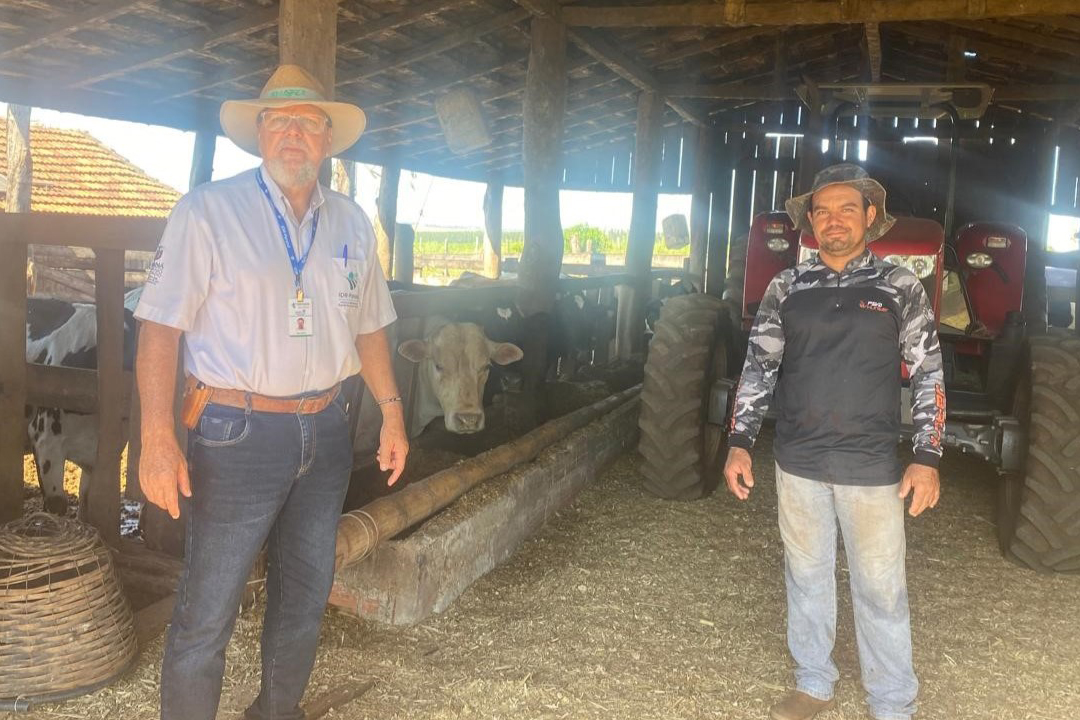 SEAB - Programa no Paraná fortalece pecuária leiteira e aumenta rentabilidade dos produtores