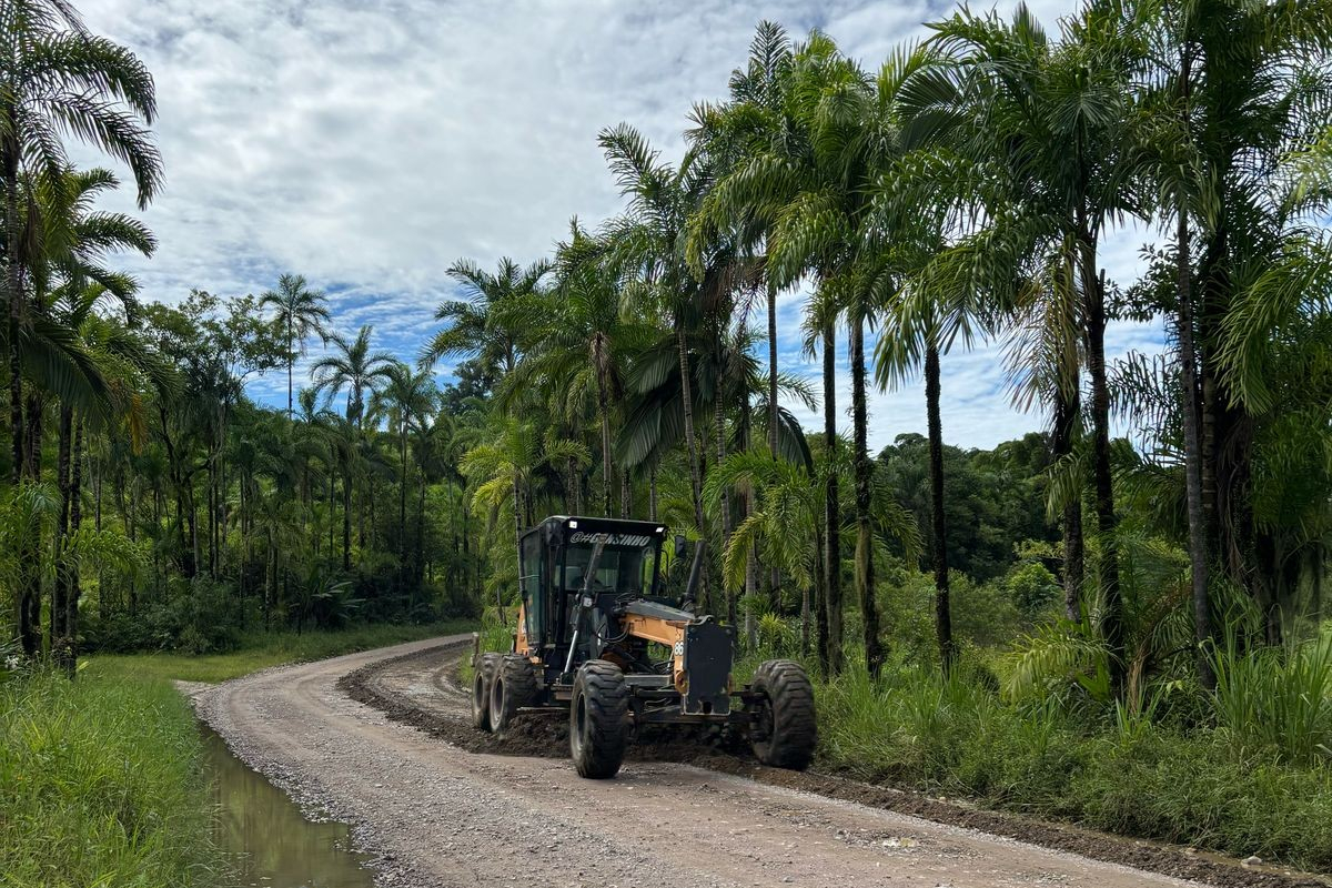 PR-405 Conservação Guaraqueçaba