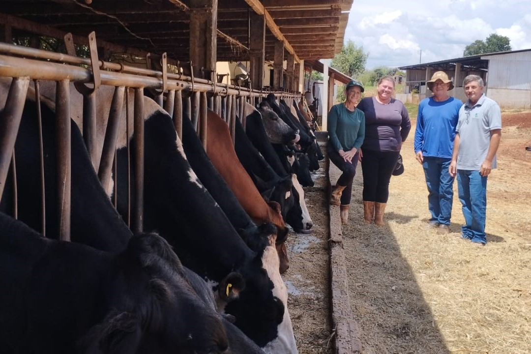 SEAB - Programa no Paraná fortalece pecuária leiteira e aumenta rentabilidade dos produtores