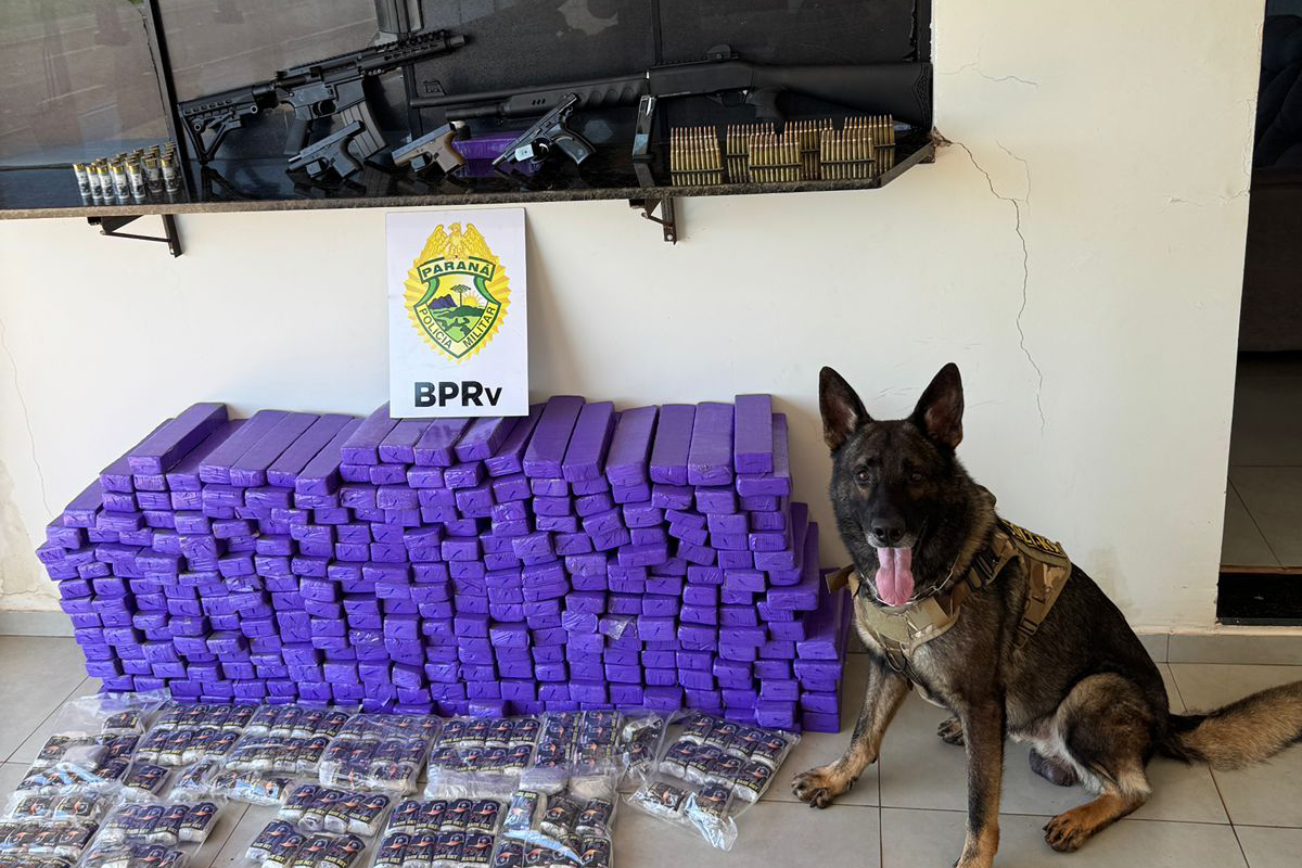 Ação do BPRv apreende armas e mais de 210 quilos de drogas em Iporã