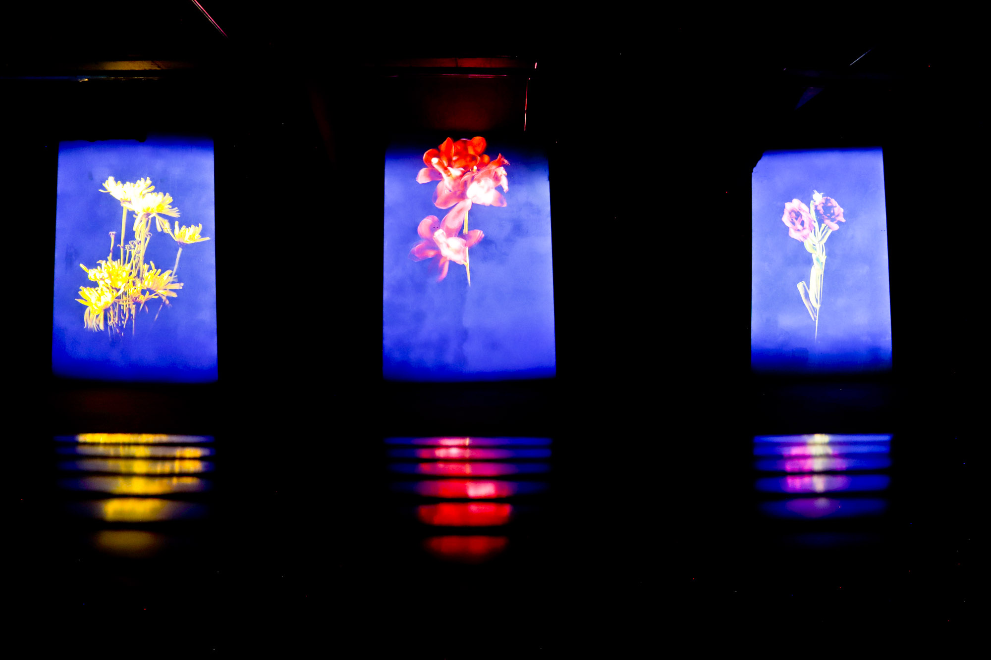 Exposição Através