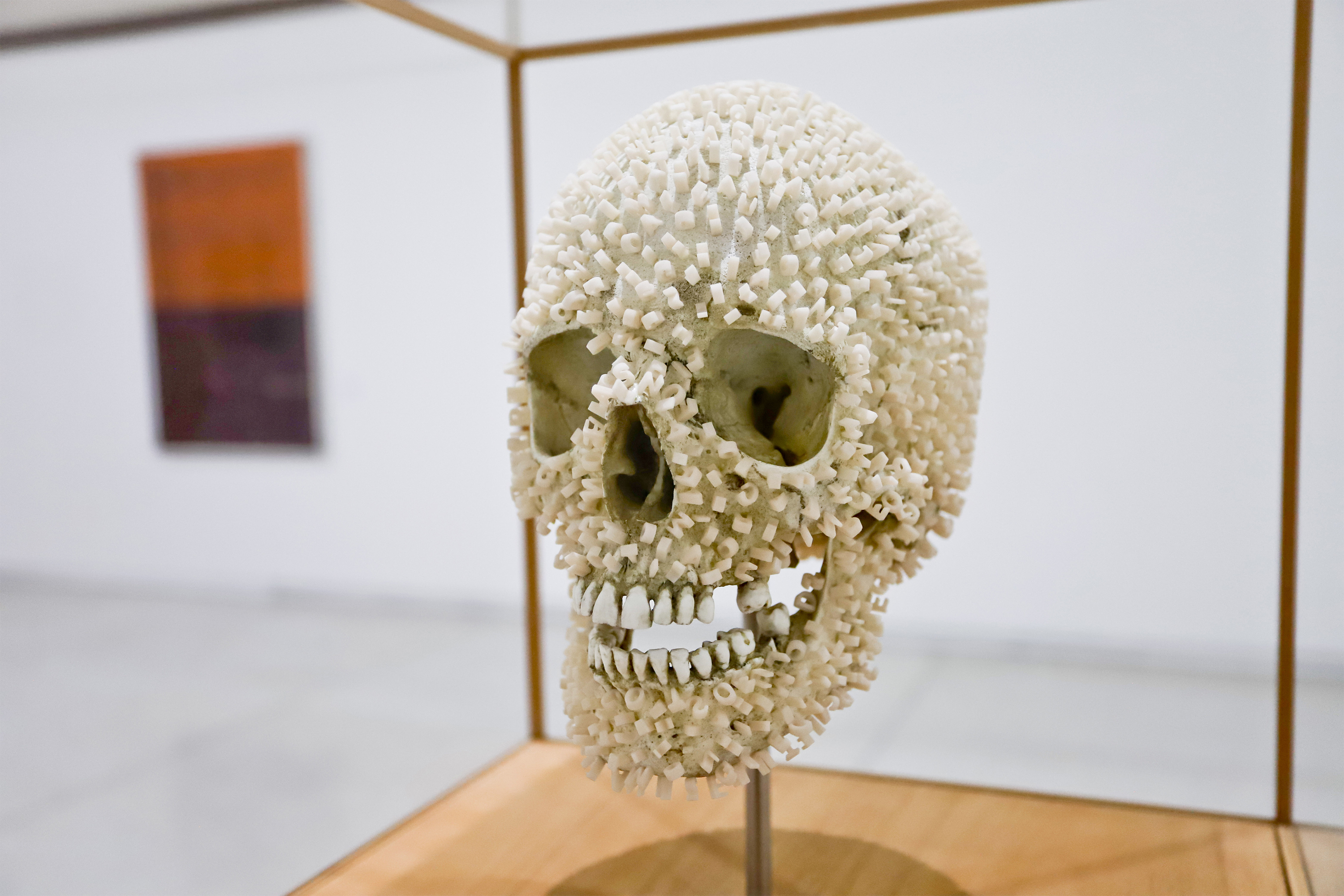 Exposição Veemente