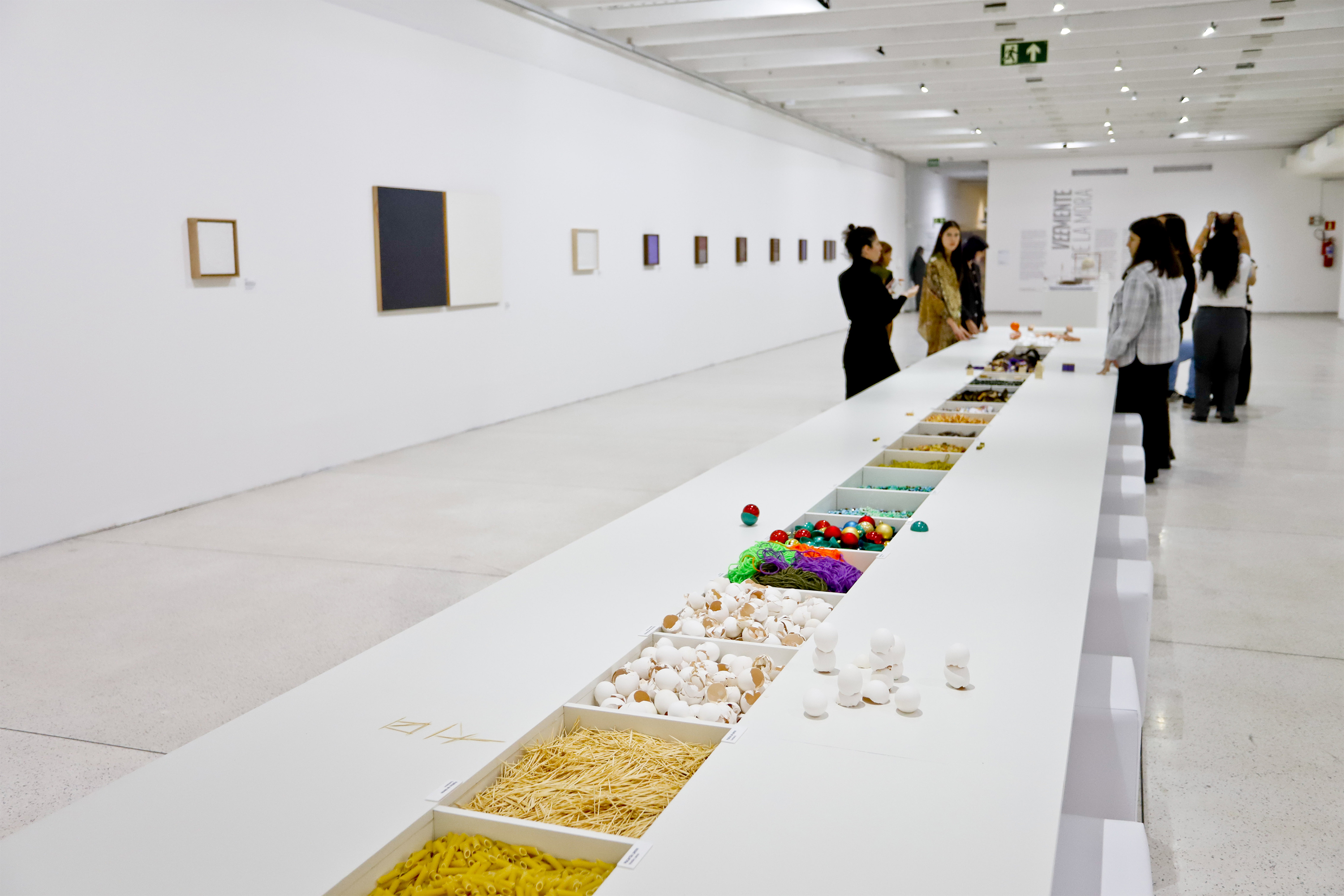 Exposição Veemente