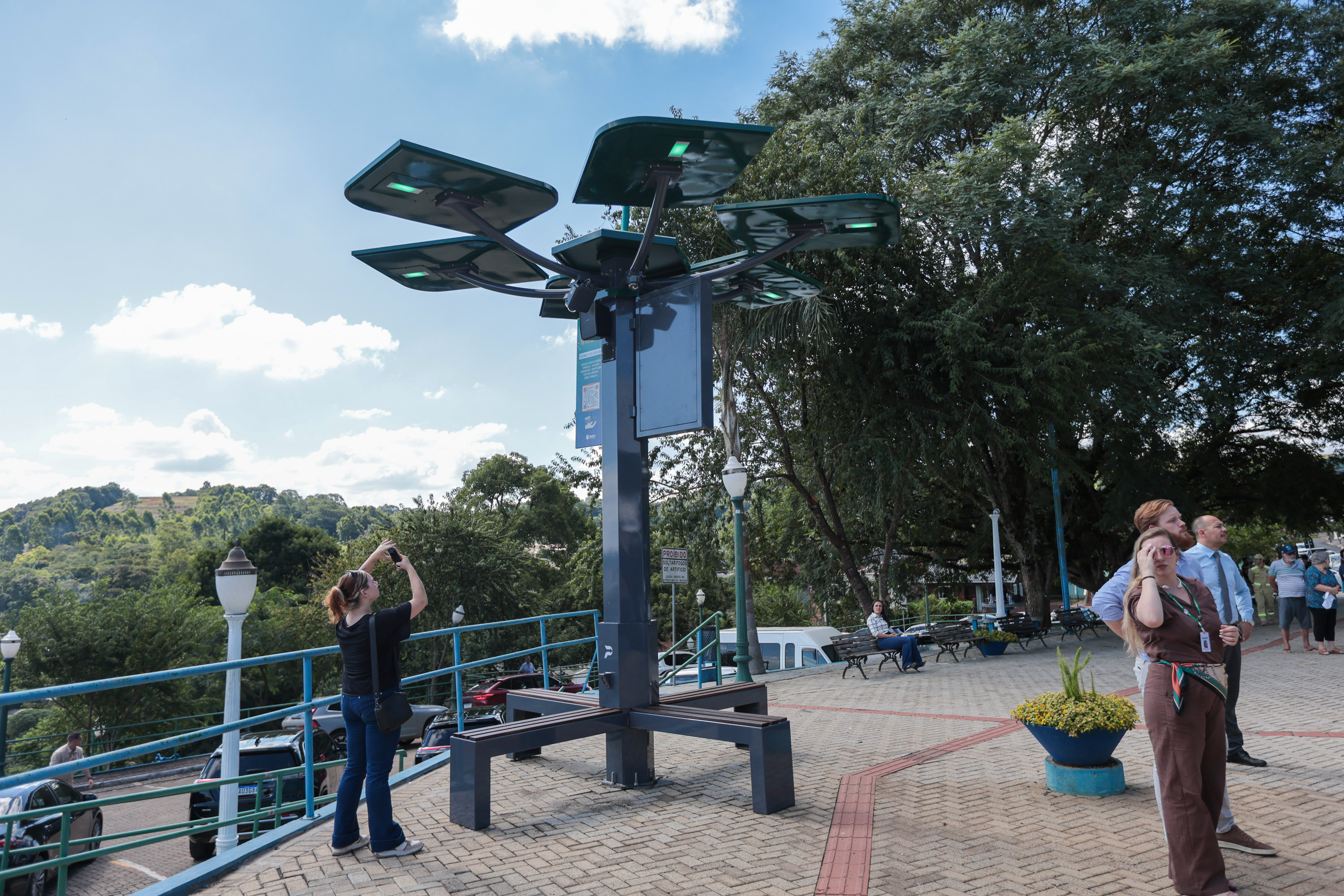 Conectividade e IA: startup cria “araucária digital” com apoio do Paraná Anjo Inovador