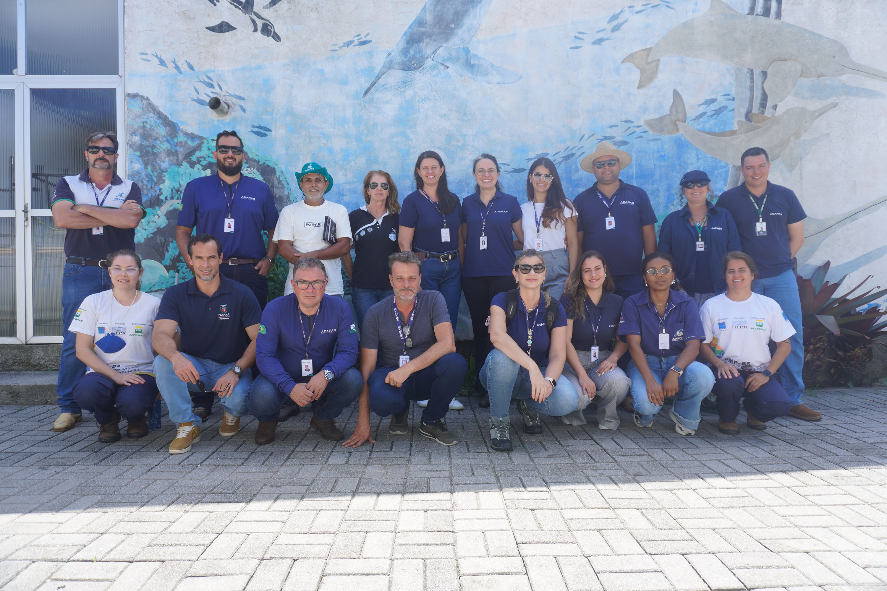 Adapar inicia operação de combate à influenza aviária no Litoral do Estado