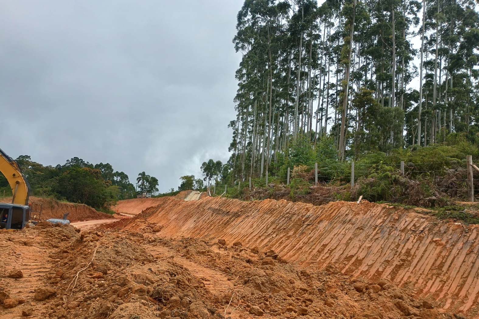 Paraná realizou 225.441 atendimentos para pessoas adultas com obesidade