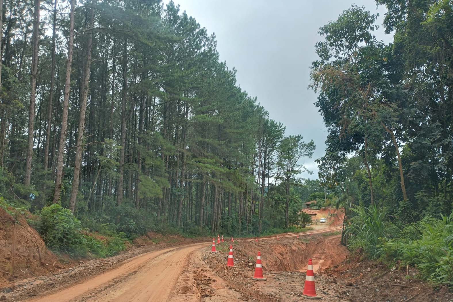 Paraná realizou 225.441 atendimentos para pessoas adultas com obesidade