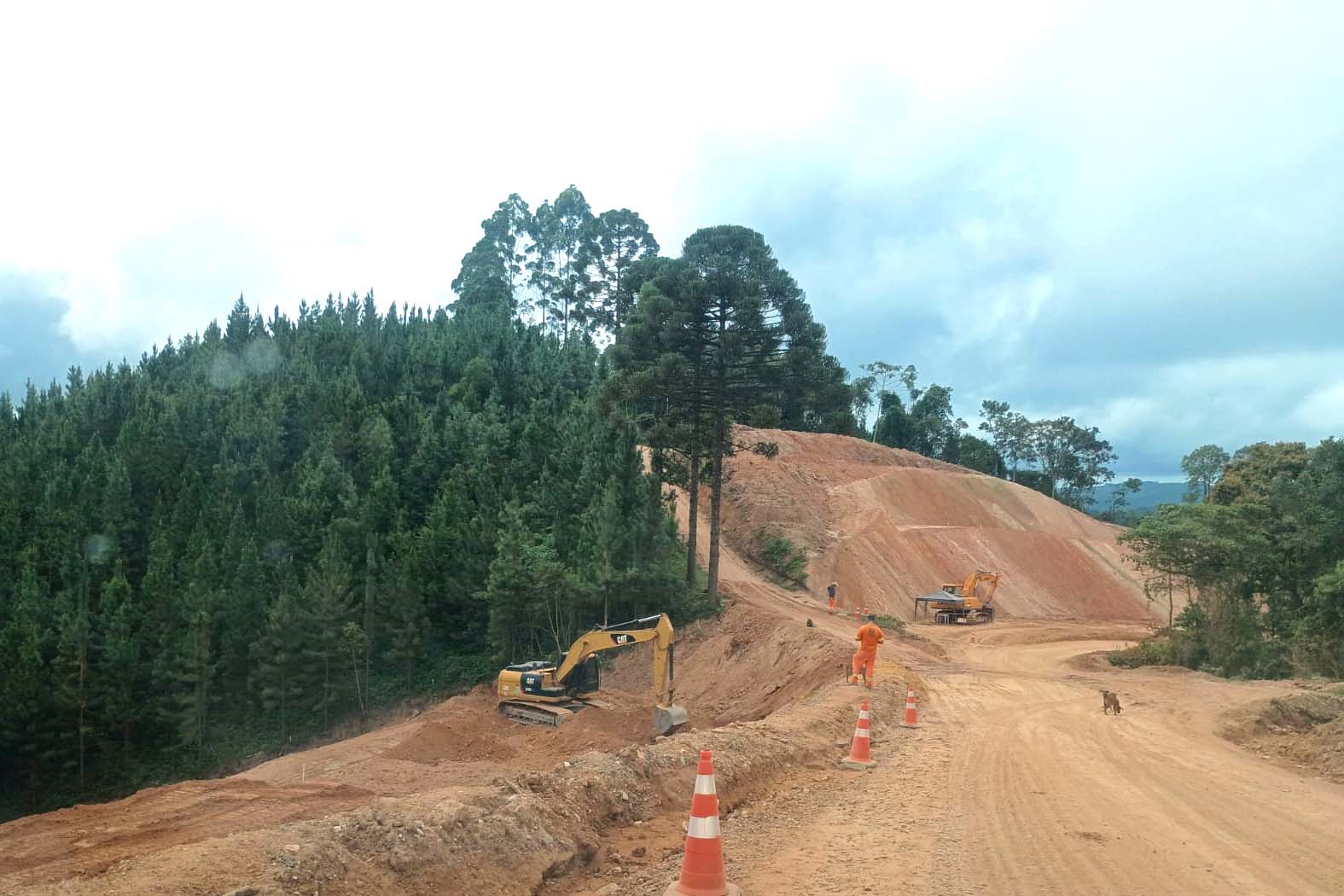 Paraná realizou 225.441 atendimentos para pessoas adultas com obesidade