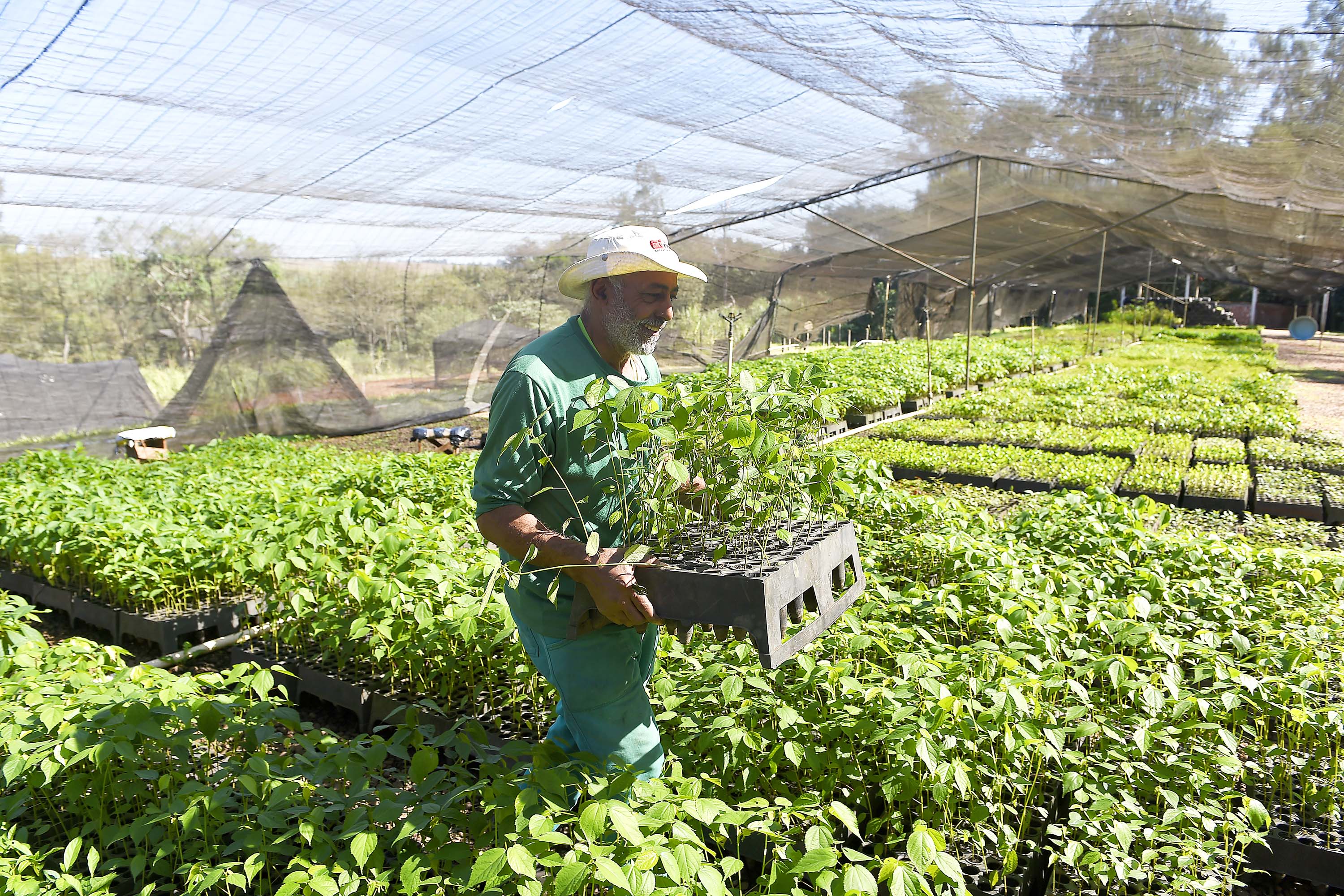 IAT - Paraná Mais Verde
