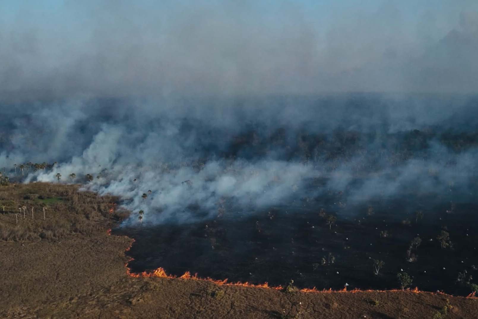Museu Paranaense encerra Abril Indígena com performance e contação de história