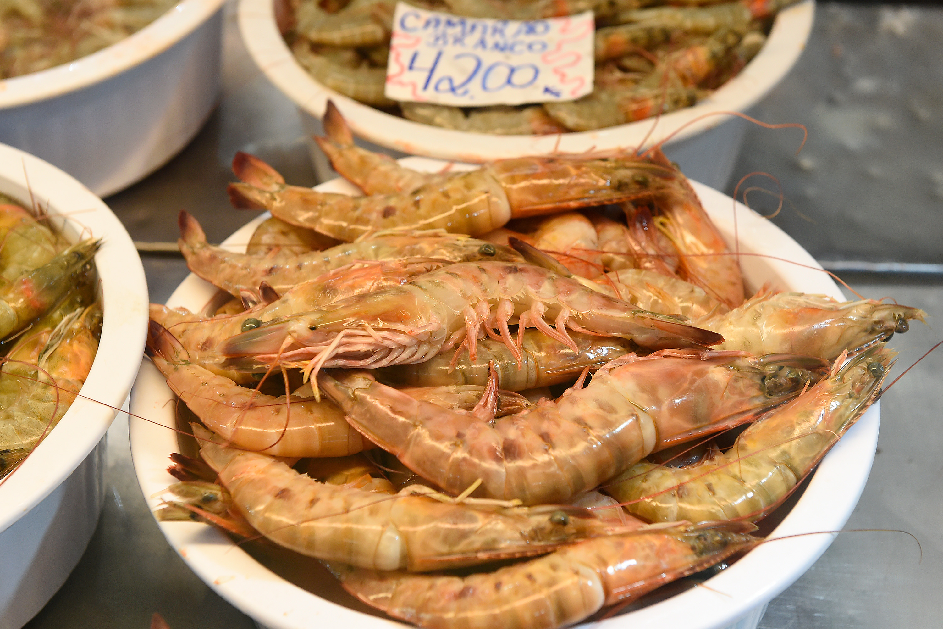 Período de defeso do camarão termina nesta quinta-feira no Paraná