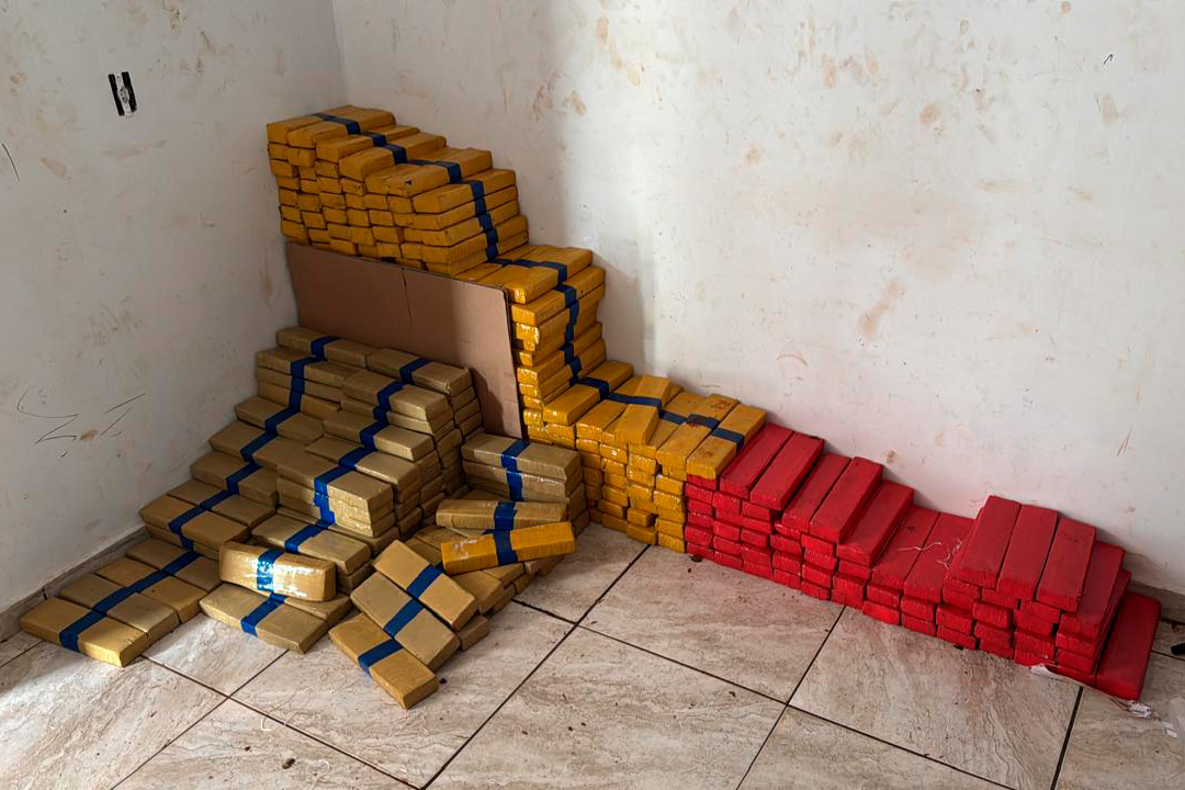 Em maior apreensão do ano, PCPR localiza 4,1 toneladas de maconha em Foz do Iguaçu