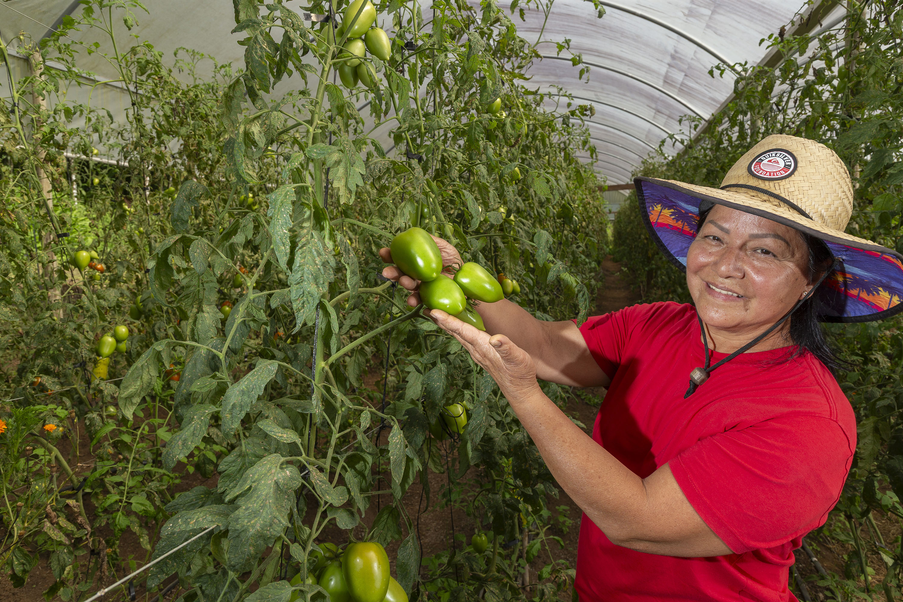 Tecpar apoia Paraná na liderança nacional de produtores rurais com certificação de orgânicos