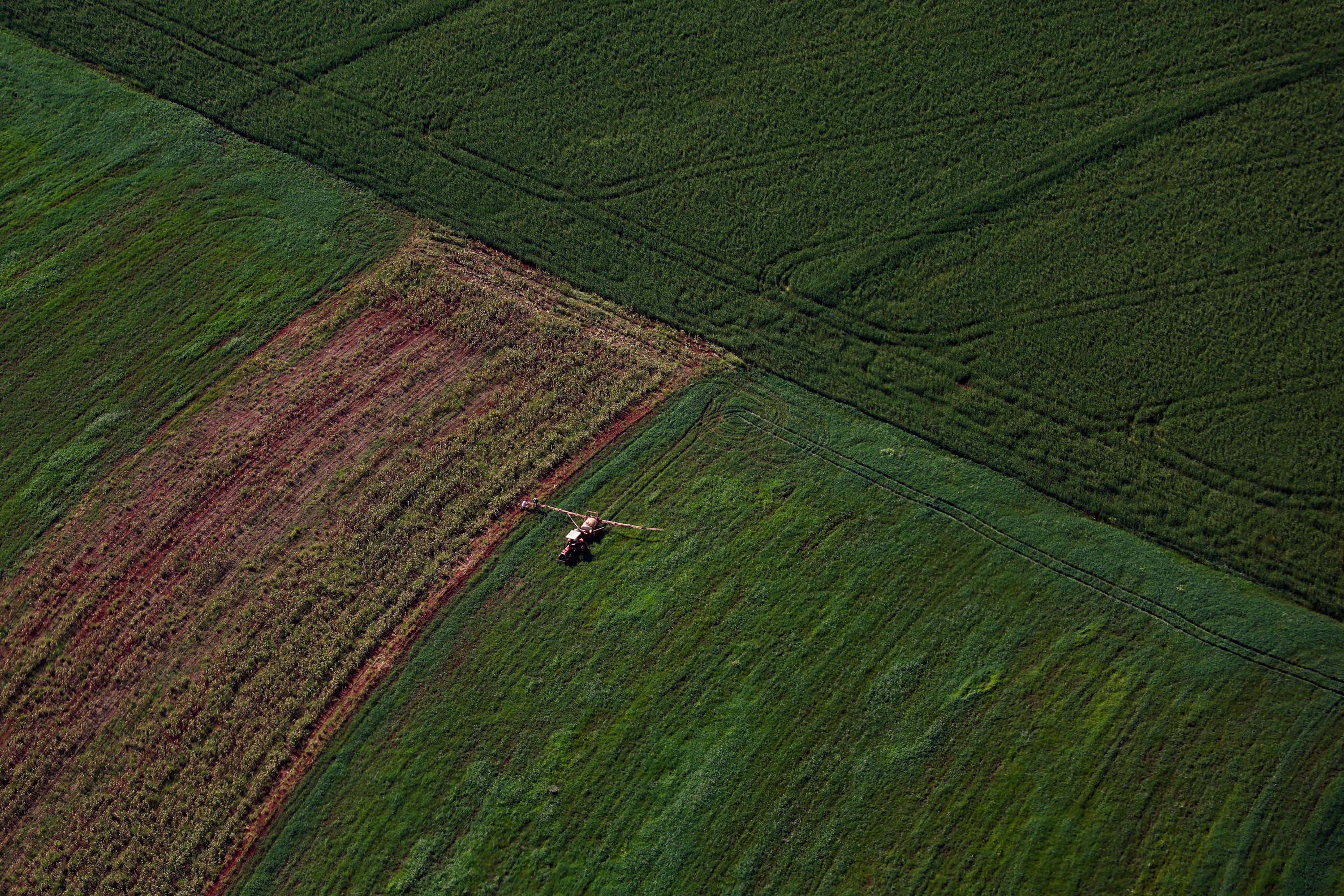BRDE - Webinar orienta empresas sobre como participar do programa Nexus de inovação no agro