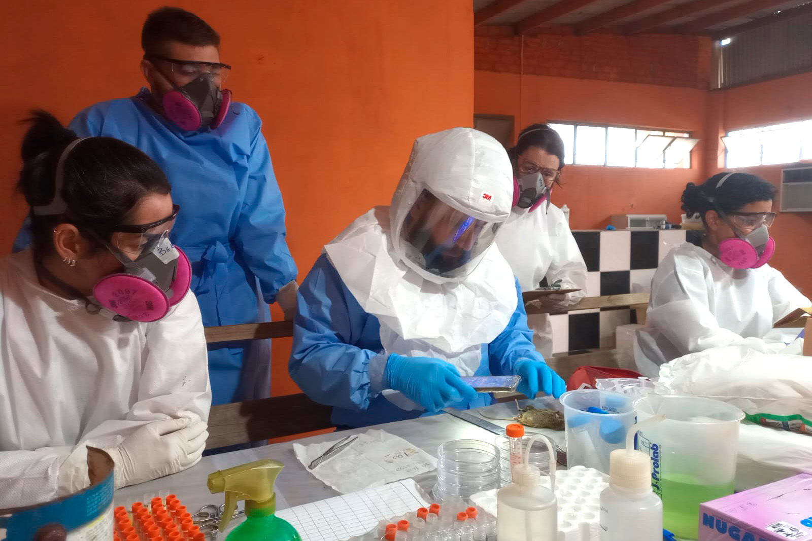 Hantavírus é controlado no Paraná com vigilância rigorosa