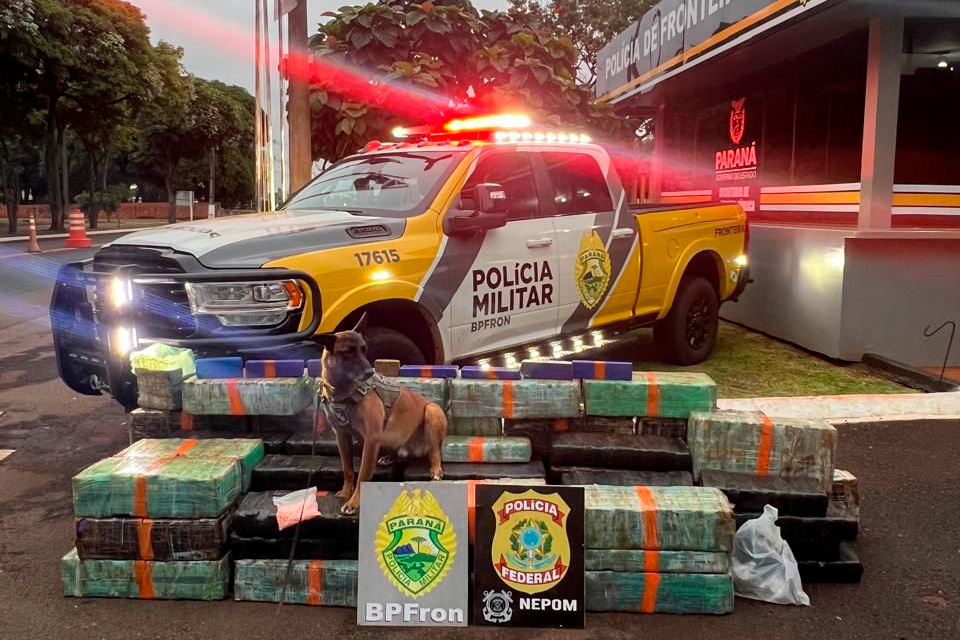 PMPR e forças integradas apreendem quase três toneladas de drogas em operações no Oeste do Estado