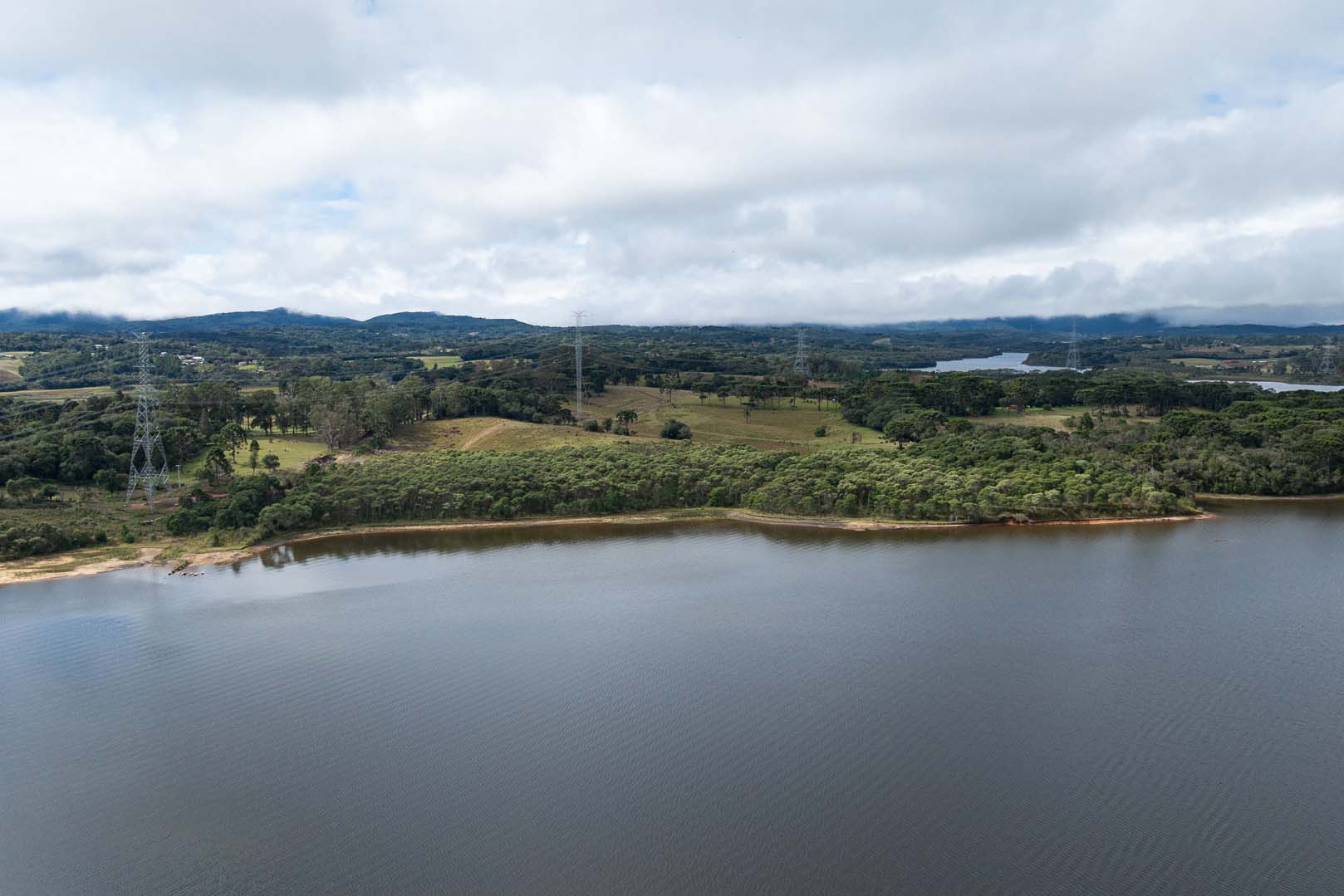 Sítios experimentais da Sanepar validam eficiência de tecnologias de sucessão ecológica para recuperação de áreas degradadas