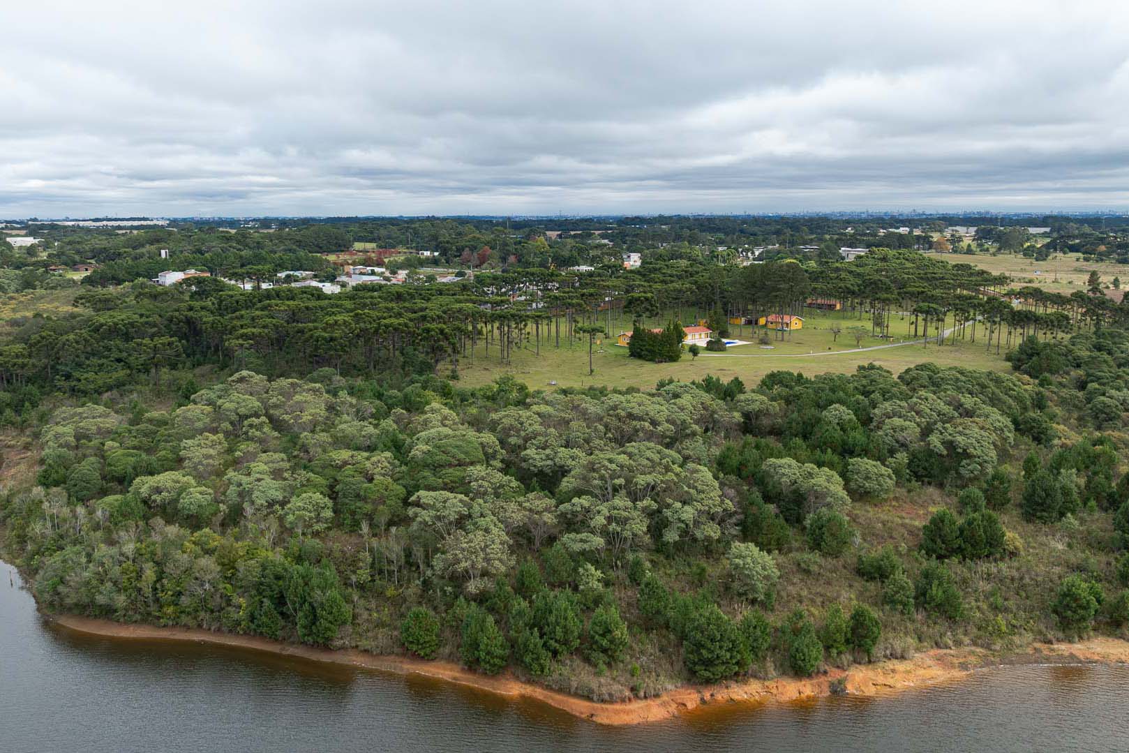 Sítios experimentais da Sanepar validam eficiência de tecnologias de sucessão ecológica para recuperação de áreas degradadas