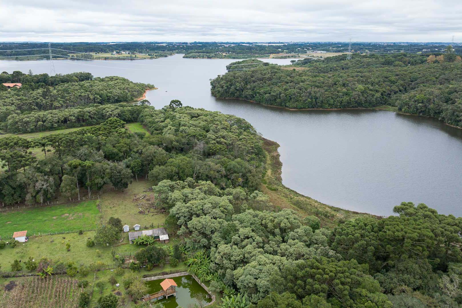 Sítios experimentais da Sanepar validam eficiência de tecnologias de sucessão ecológica para recuperação de áreas degradadas