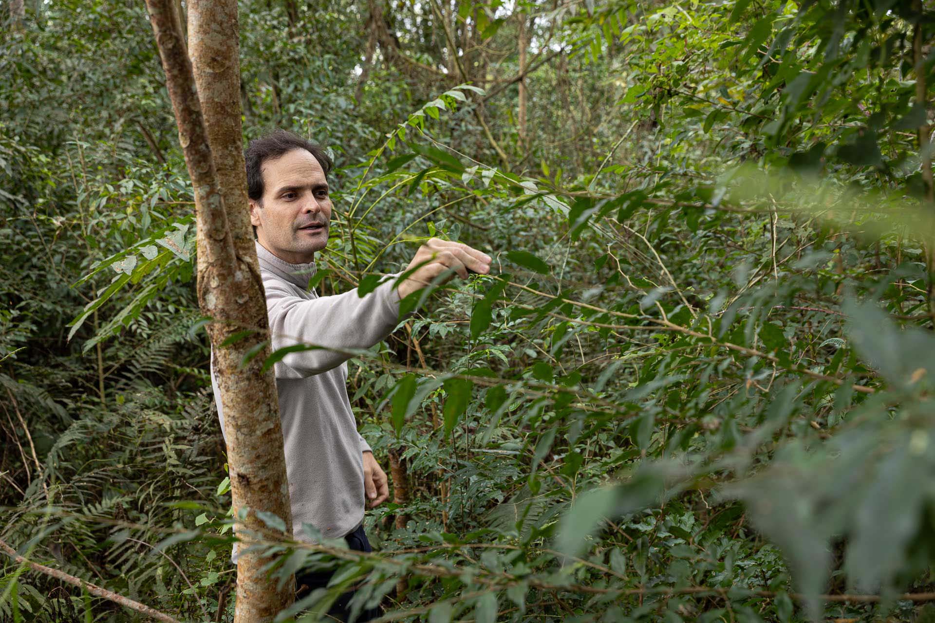 Sítios experimentais da Sanepar validam eficiência de tecnologias de sucessão ecológica para recuperação de áreas degradadas