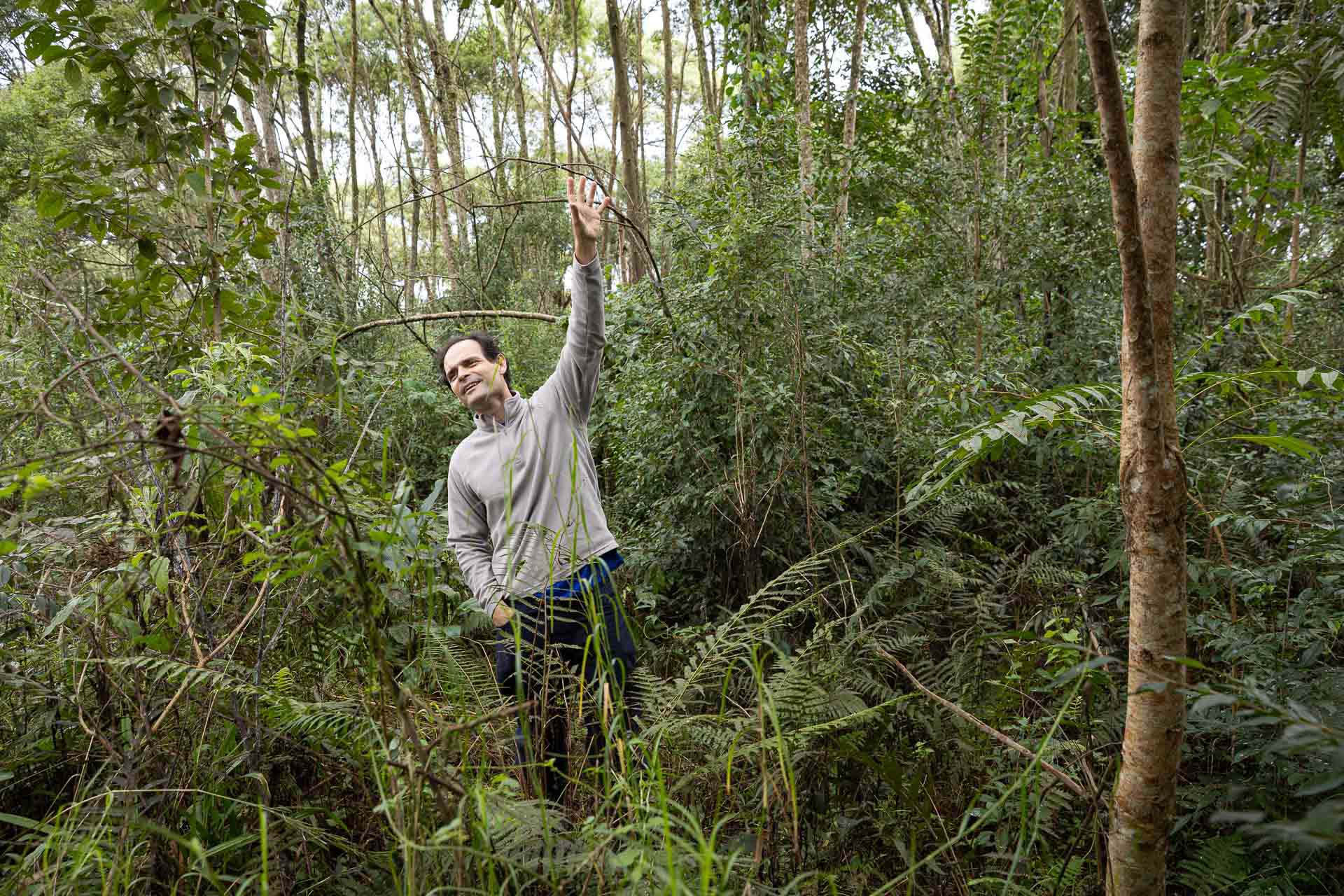 Sítios experimentais da Sanepar validam eficiência de tecnologias de sucessão ecológica para recuperação de áreas degradadas