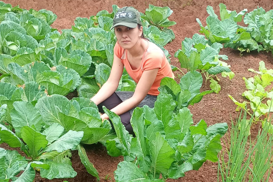 IAT - Hortas Comunitárias Campo Largo