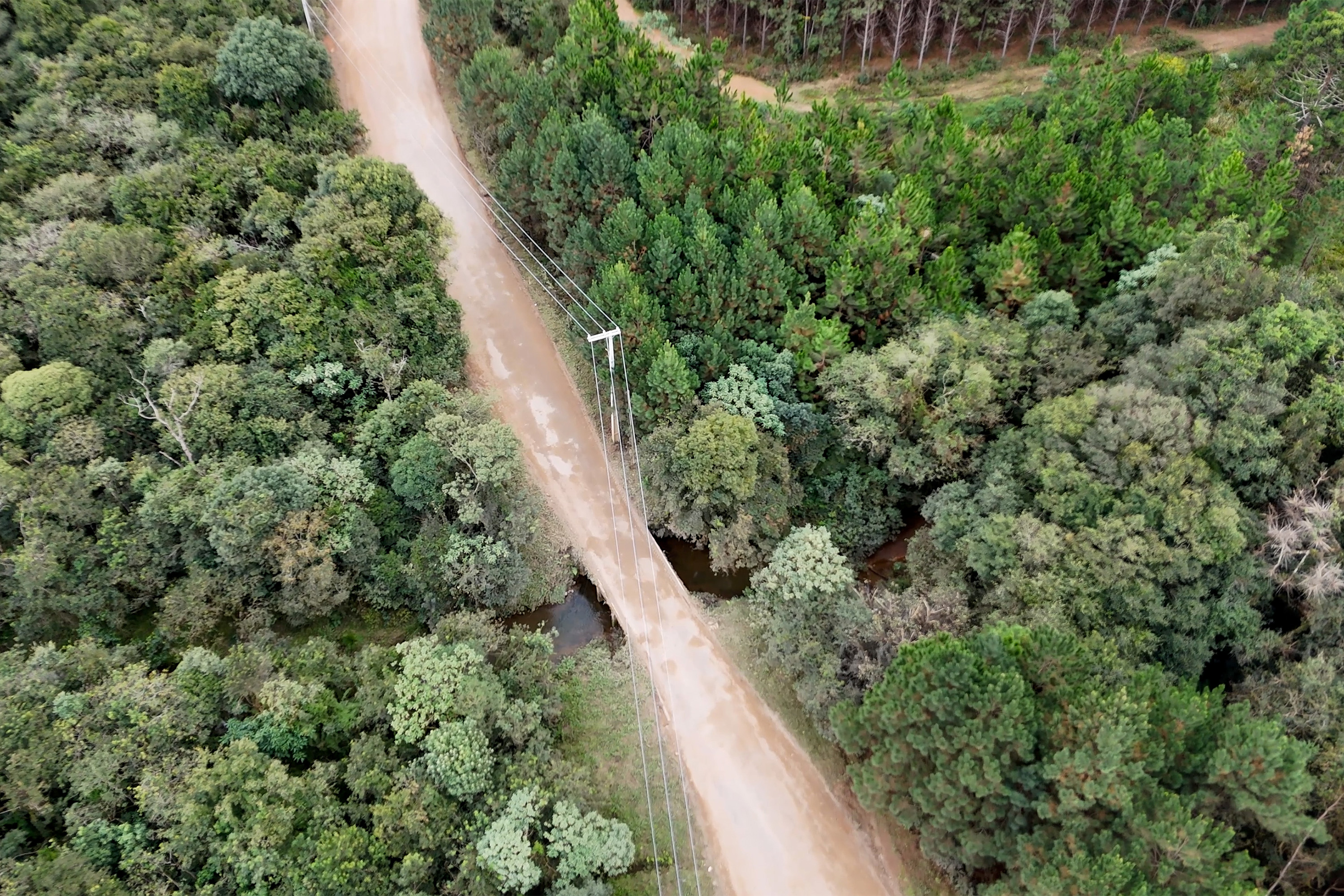Ratinho Junior libera R$ 90,7 milhões para pavimentação de estrada turística e outras obras em Tijucas do Sul