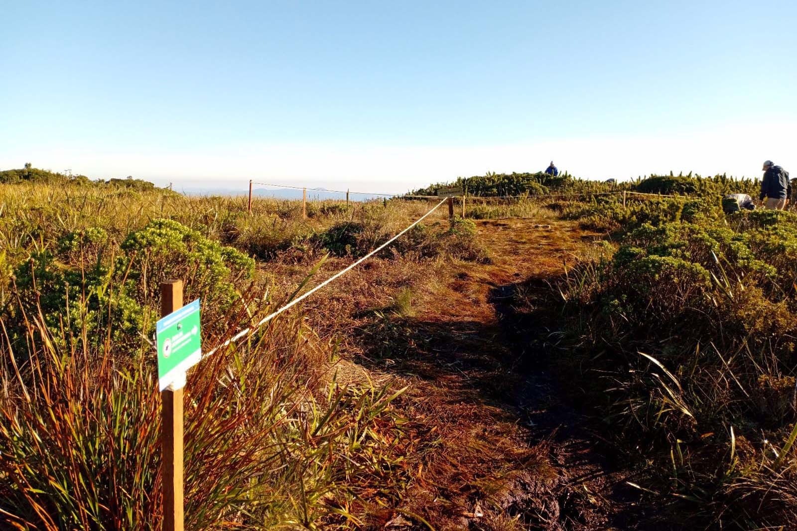 Demarcação Pico Paraná C