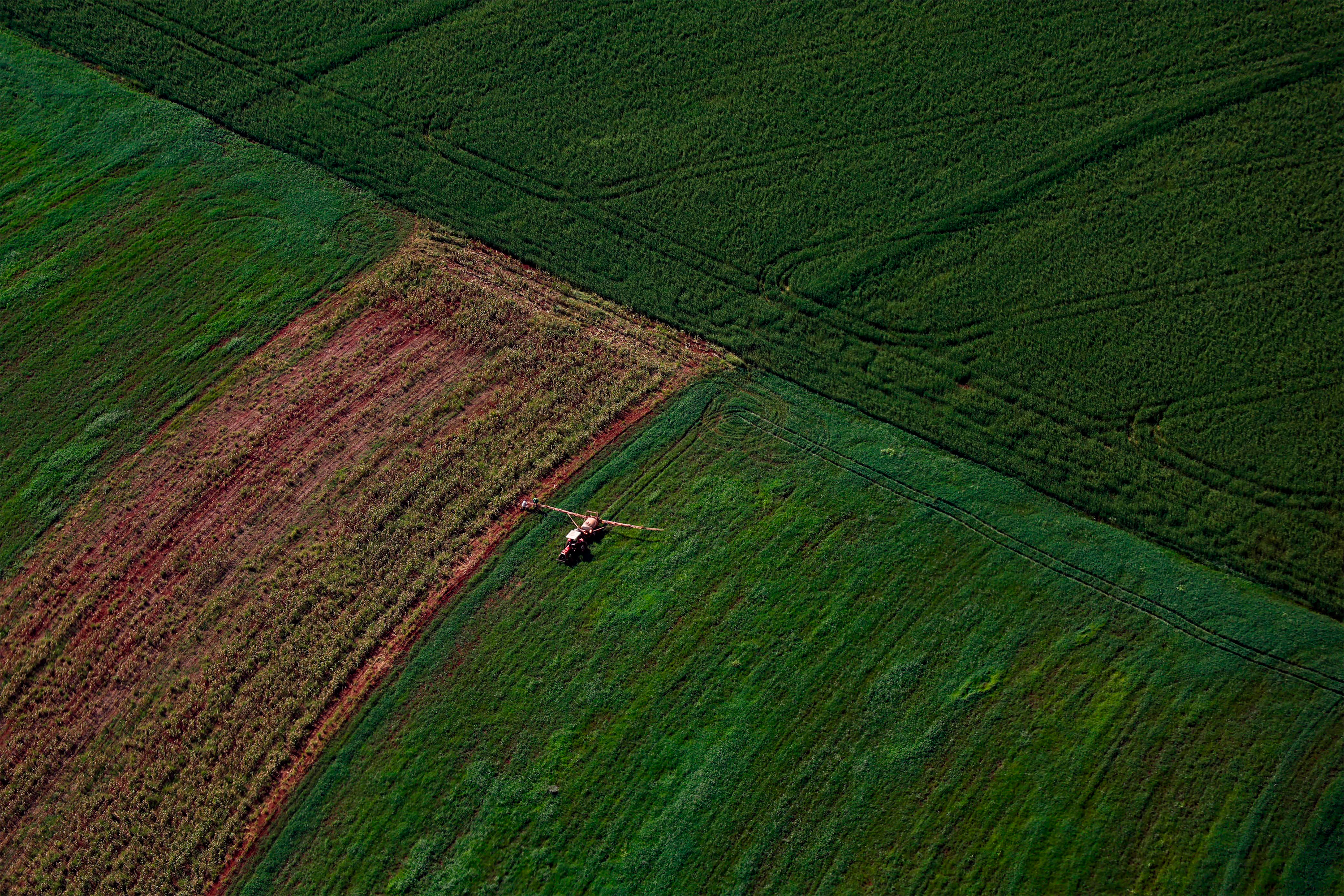 Dados federais confirmam liderança do Paraná na regularização ambiental rural do País