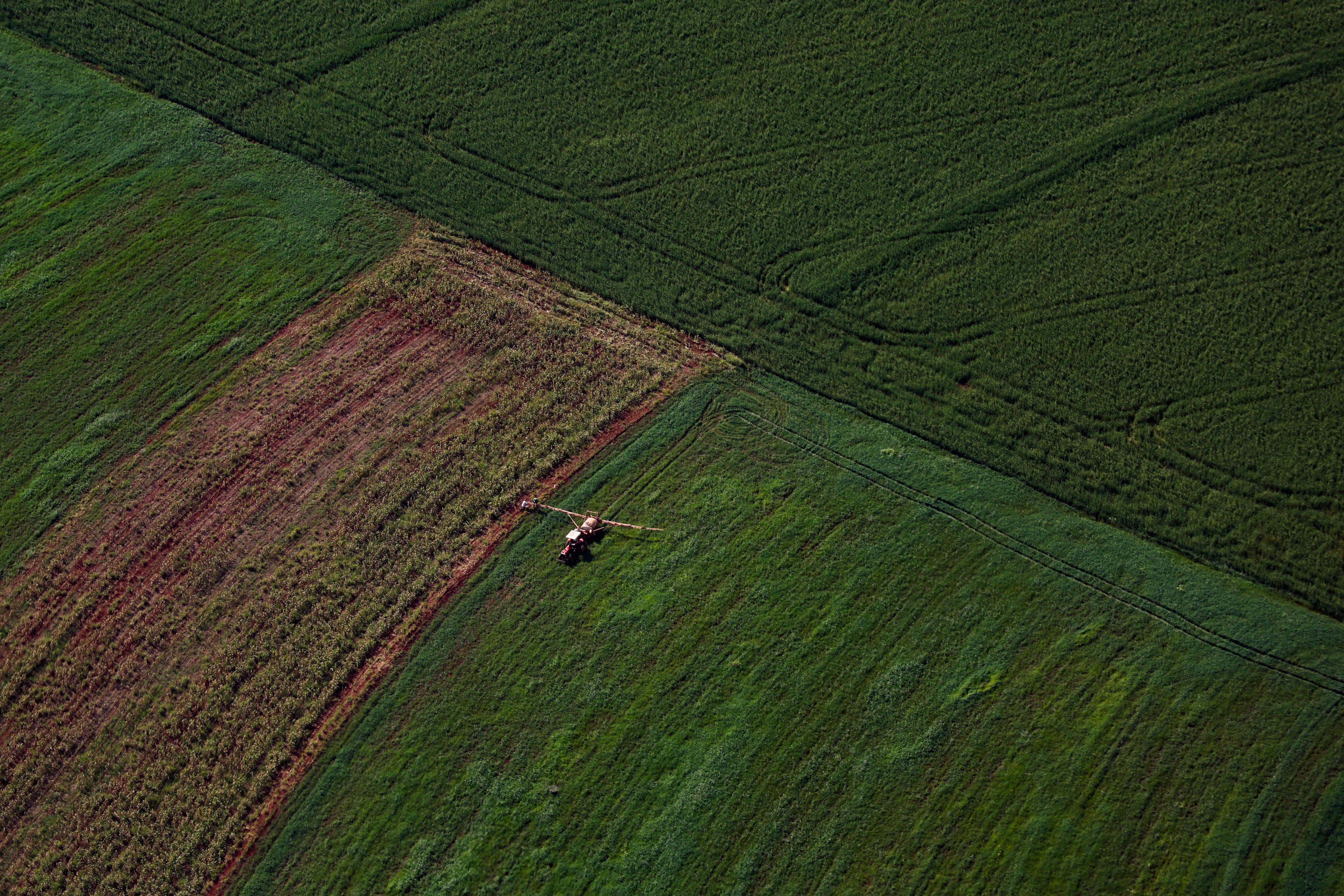 VBP Agropecuário do Paraná alcança R$ 212,6 bilhões e reafirma protagonismo nacional